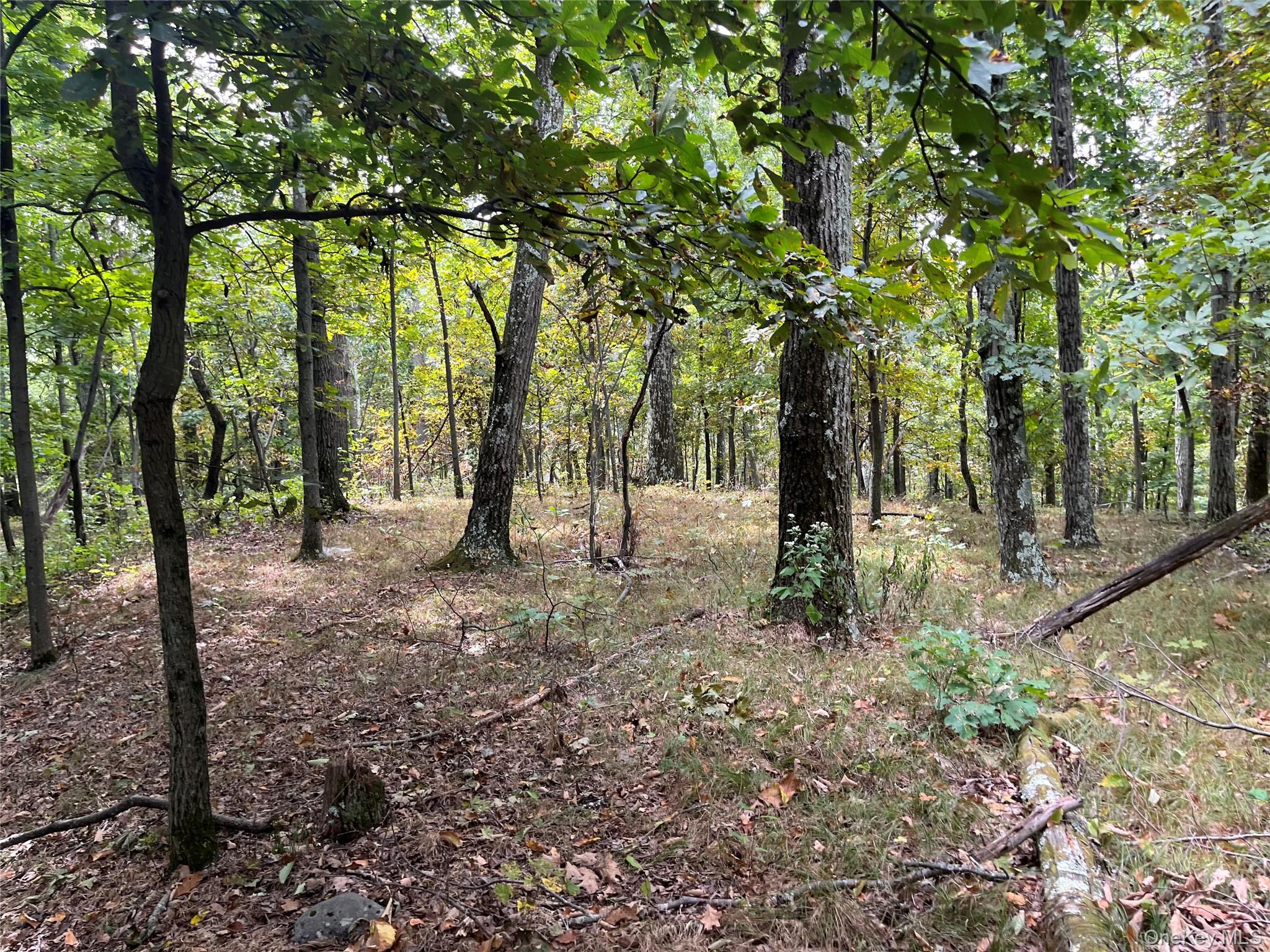 1154 Cold Spring Road Cold Spring Road, Clinton Corners, NY 12514