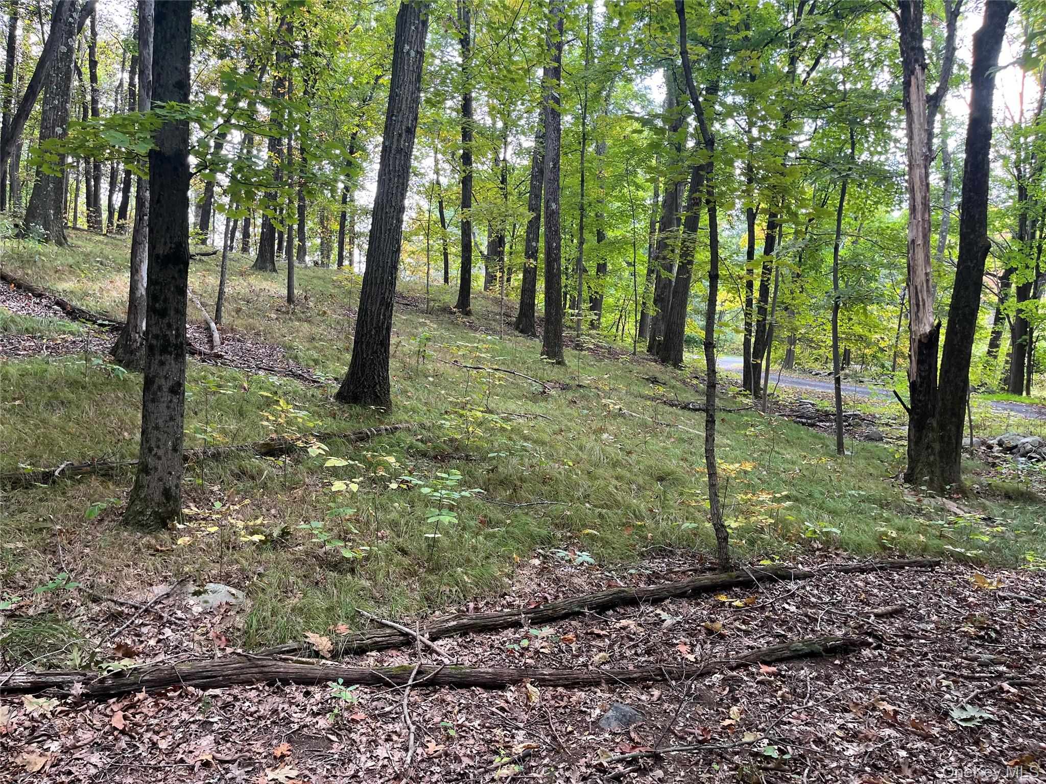 1154 Cold Spring Road Cold Spring Road, Clinton Corners, NY 12514