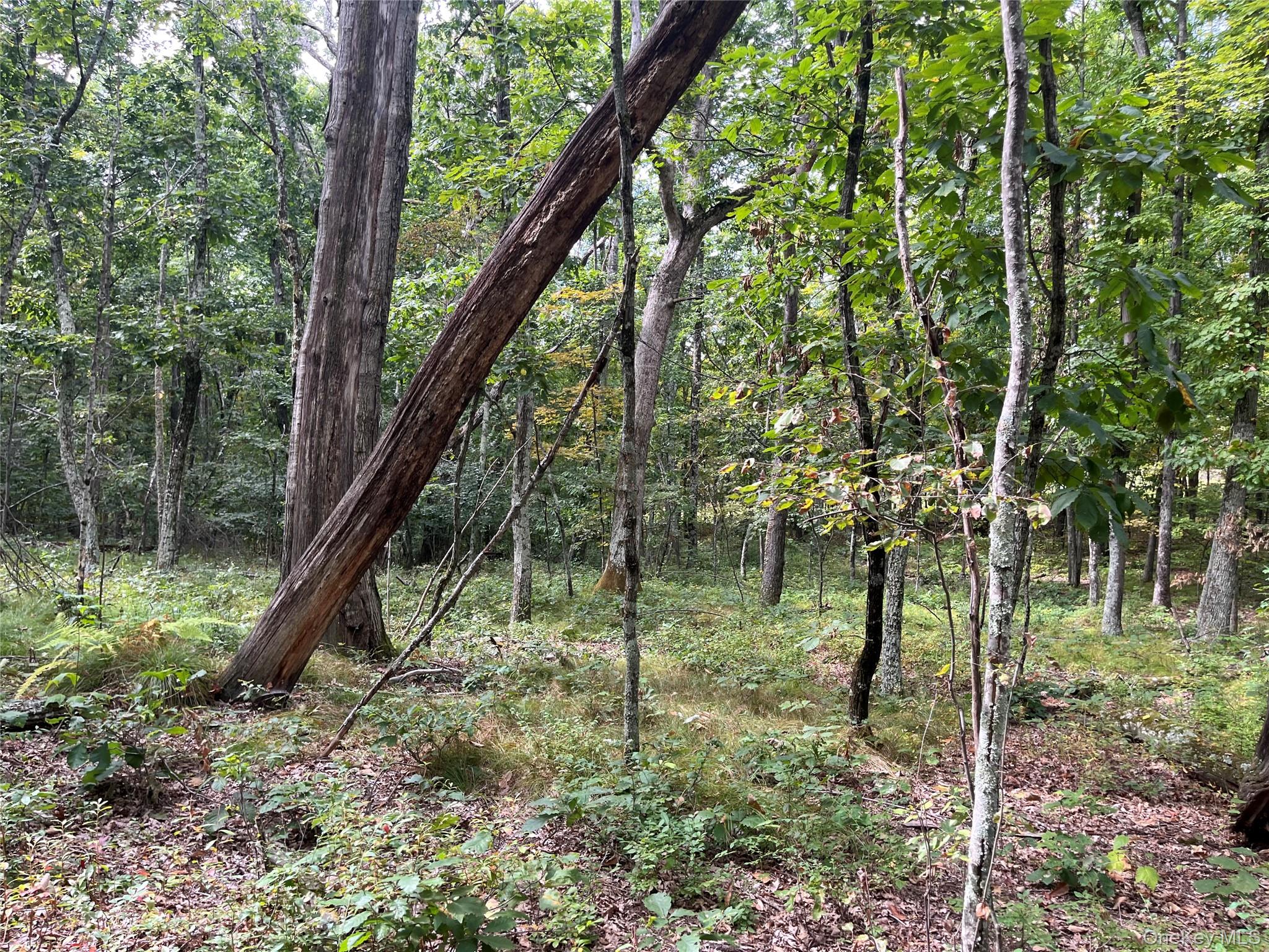 1154 Cold Spring Road Cold Spring Road, Clinton Corners, NY 12514