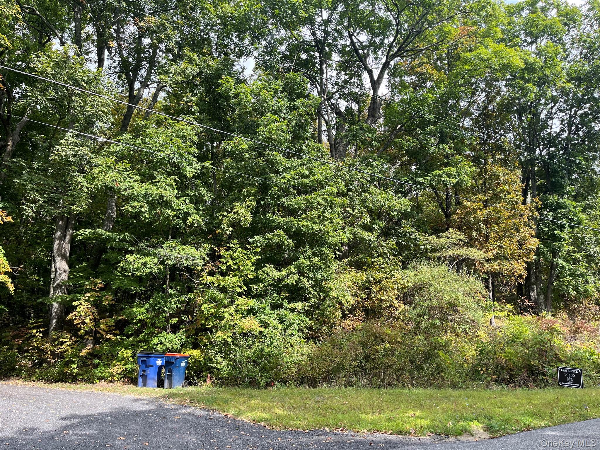 1154 Cold Spring Road Cold Spring Road, Clinton Corners, NY 12514