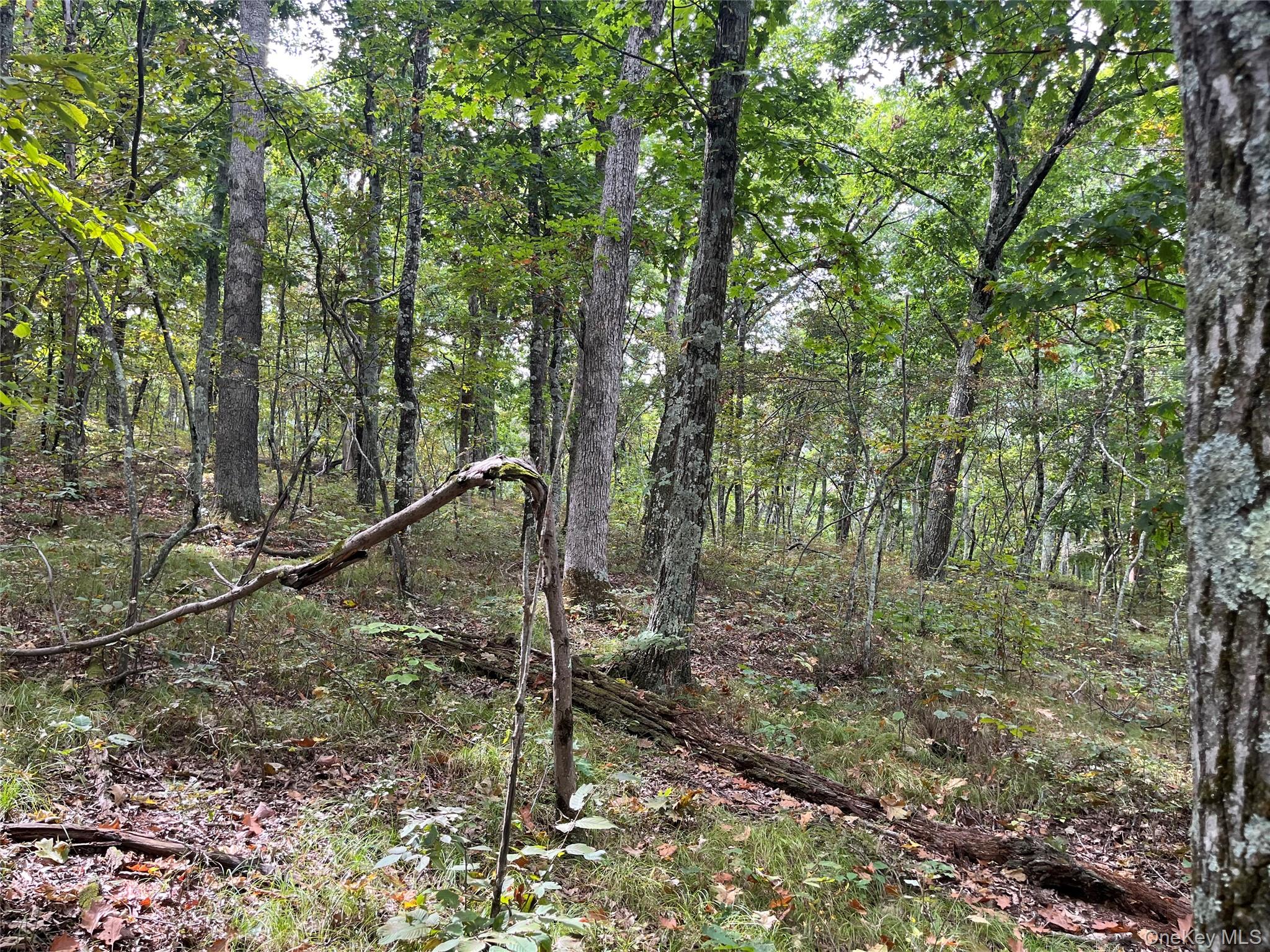 1154 Cold Spring Road Cold Spring Road, Clinton Corners, NY 12514