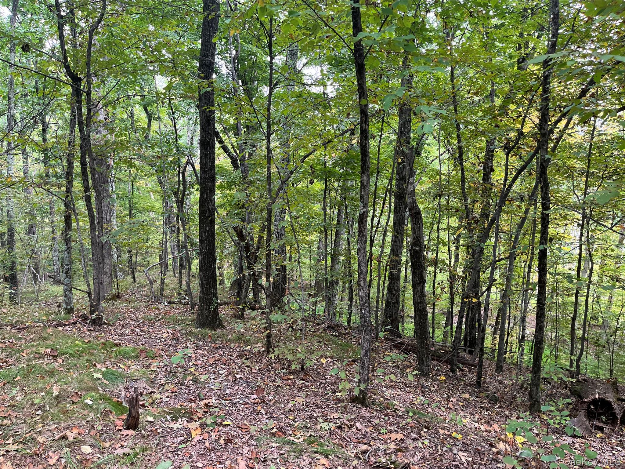 1154 Cold Spring Road Cold Spring Road, Clinton Corners, NY 12514