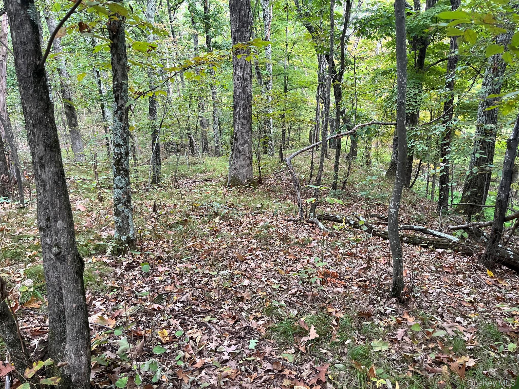 1154 Cold Spring Road Cold Spring Road, Clinton Corners, NY 12514