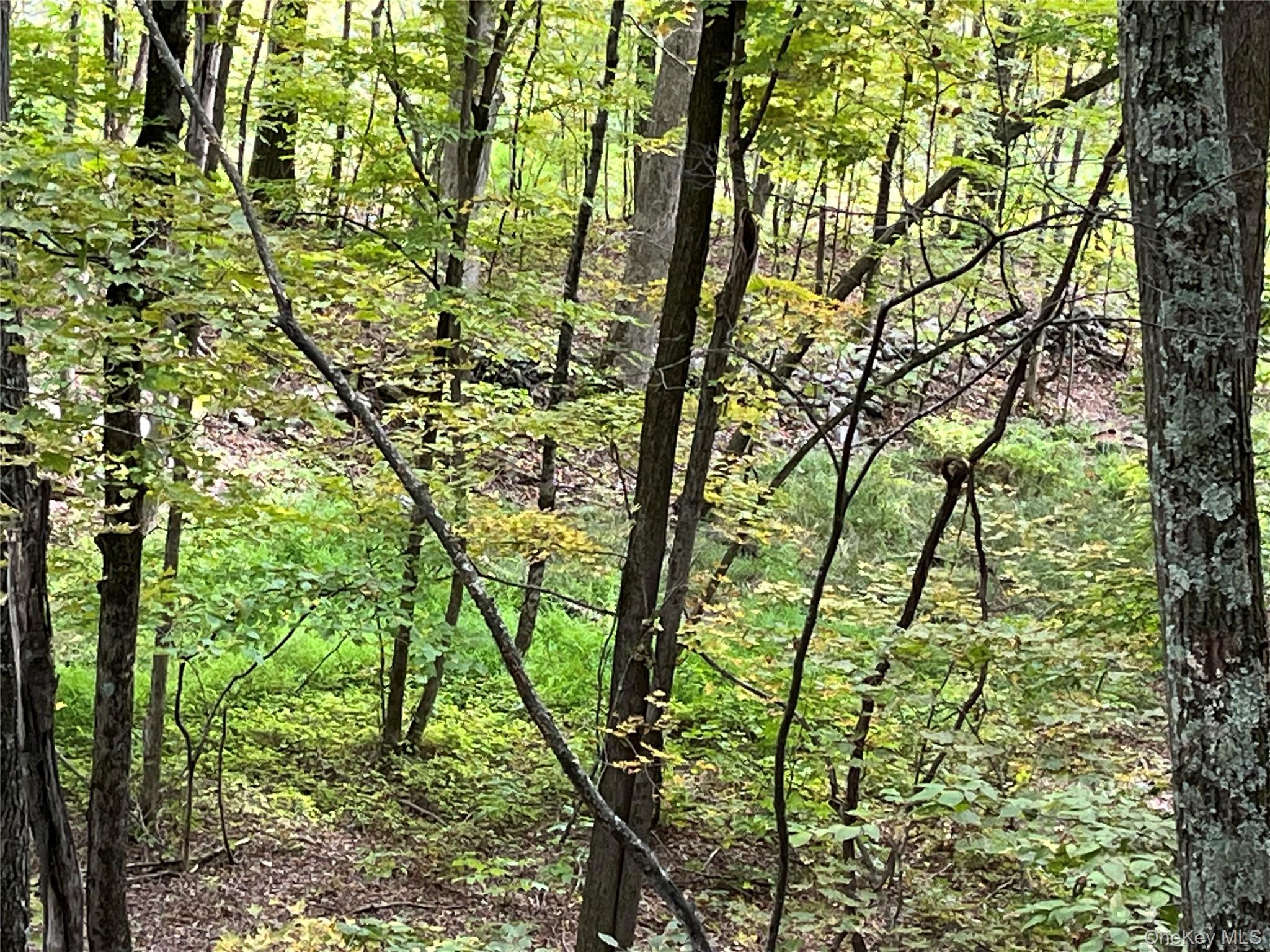 1154 Cold Spring Road Cold Spring Road, Clinton Corners, NY 12514