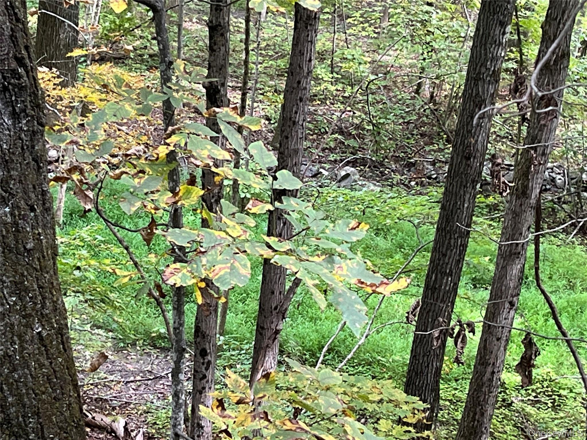 1154 Cold Spring Road Cold Spring Road, Clinton Corners, NY 12514