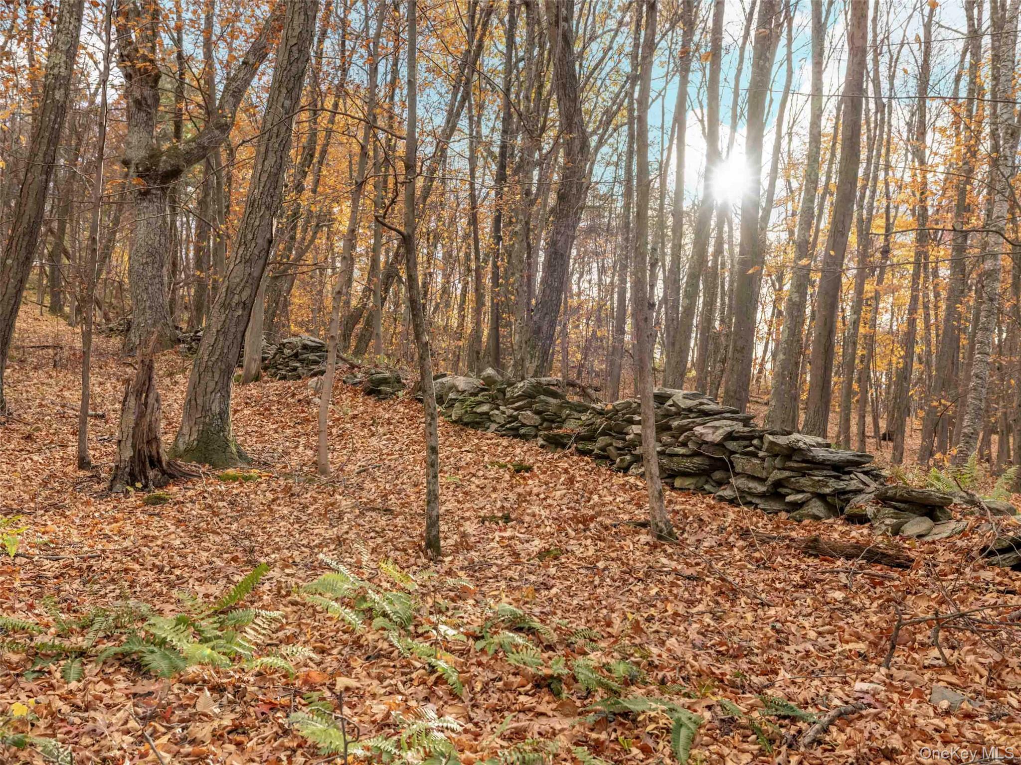 216 Starbarrack Road, Red Hook, NY 12571