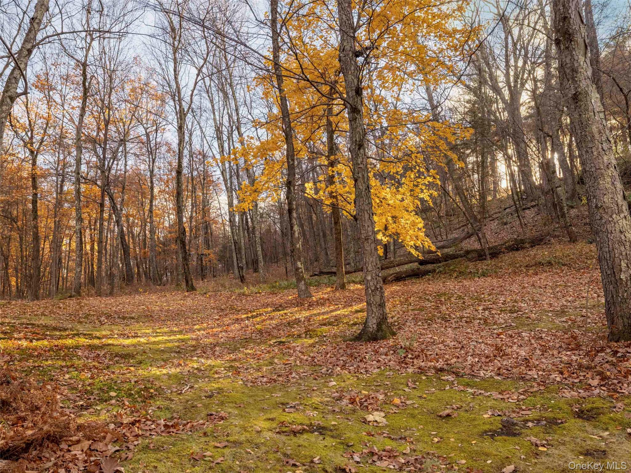 216 Starbarrack Road, Red Hook, NY 12571