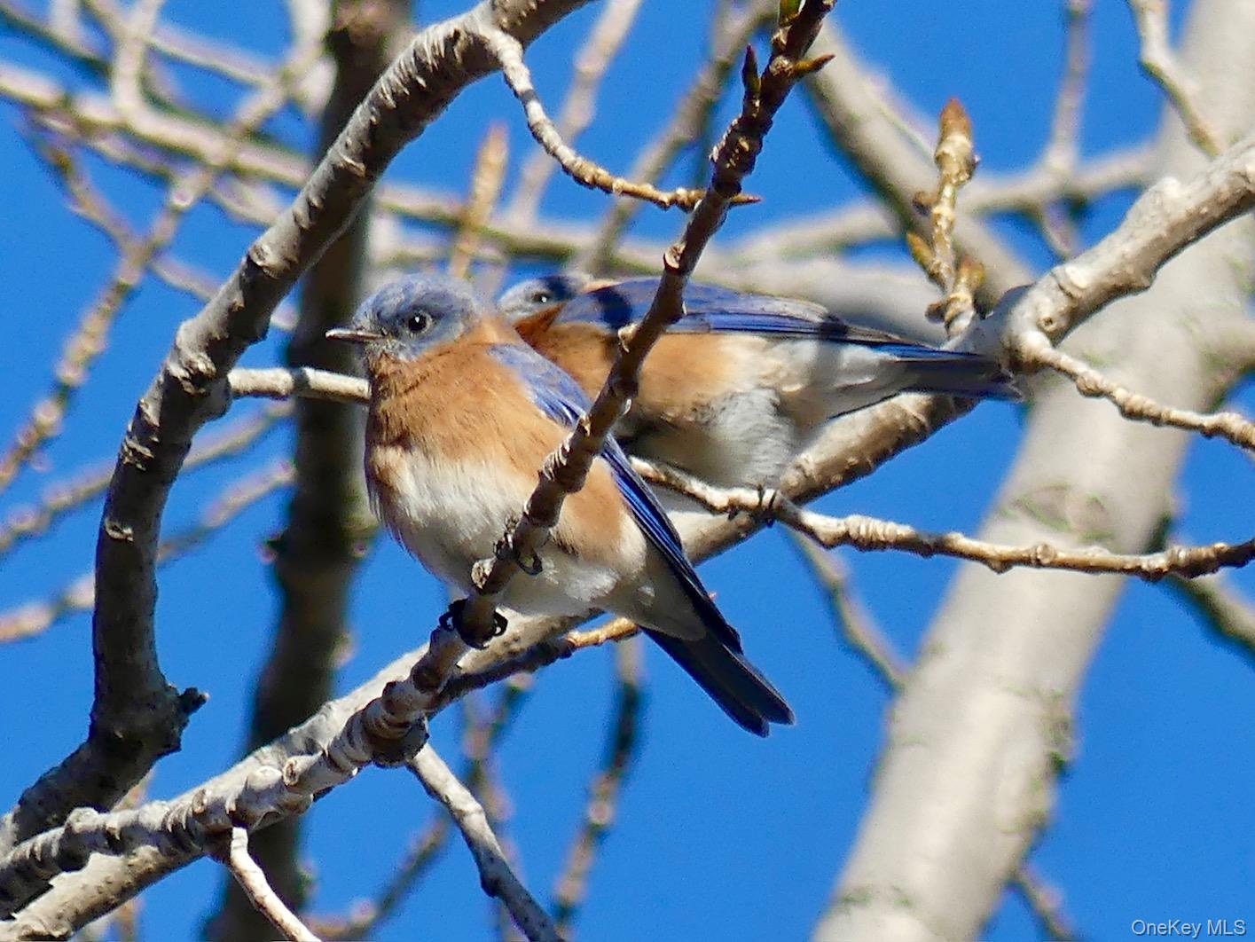 904 Dean Avenue, Bronx, NY 10465