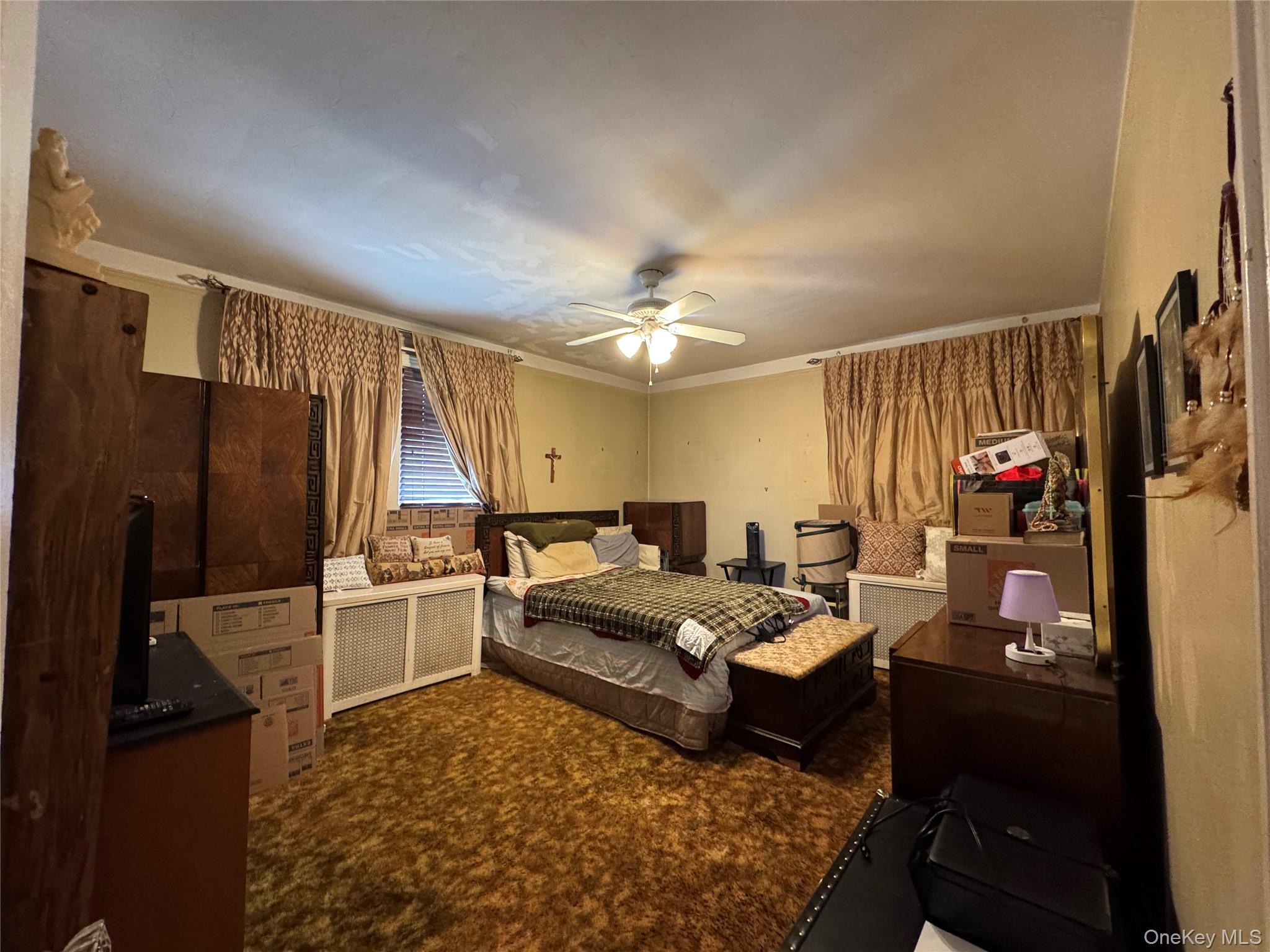 915 E 222nd Street, Bronx, NY 10469