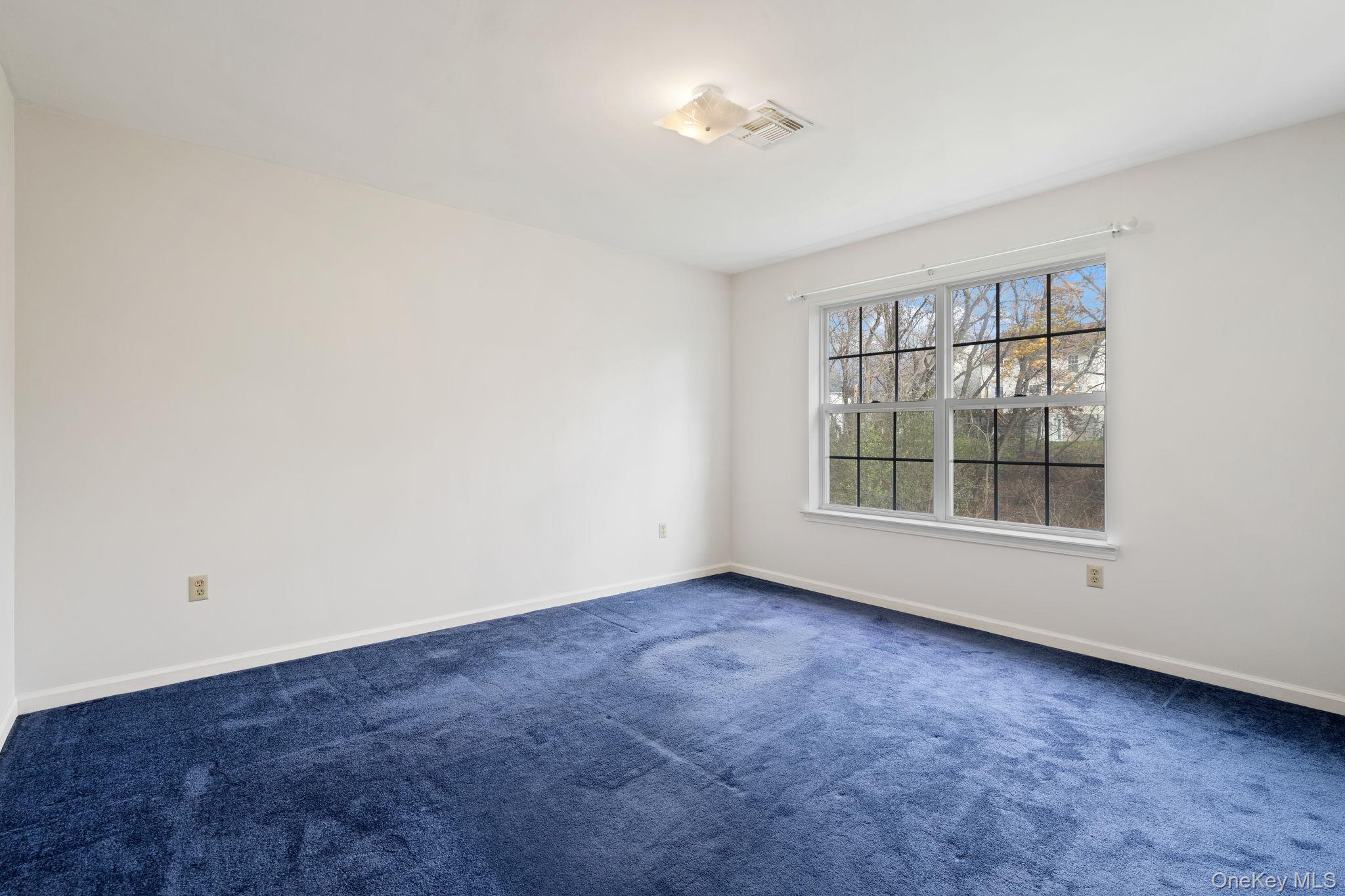 317 Angelo Drive, Montgomery, NY 12549