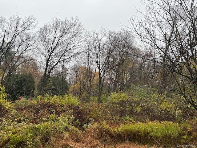 252 Milltown, Brewster, NY 10509