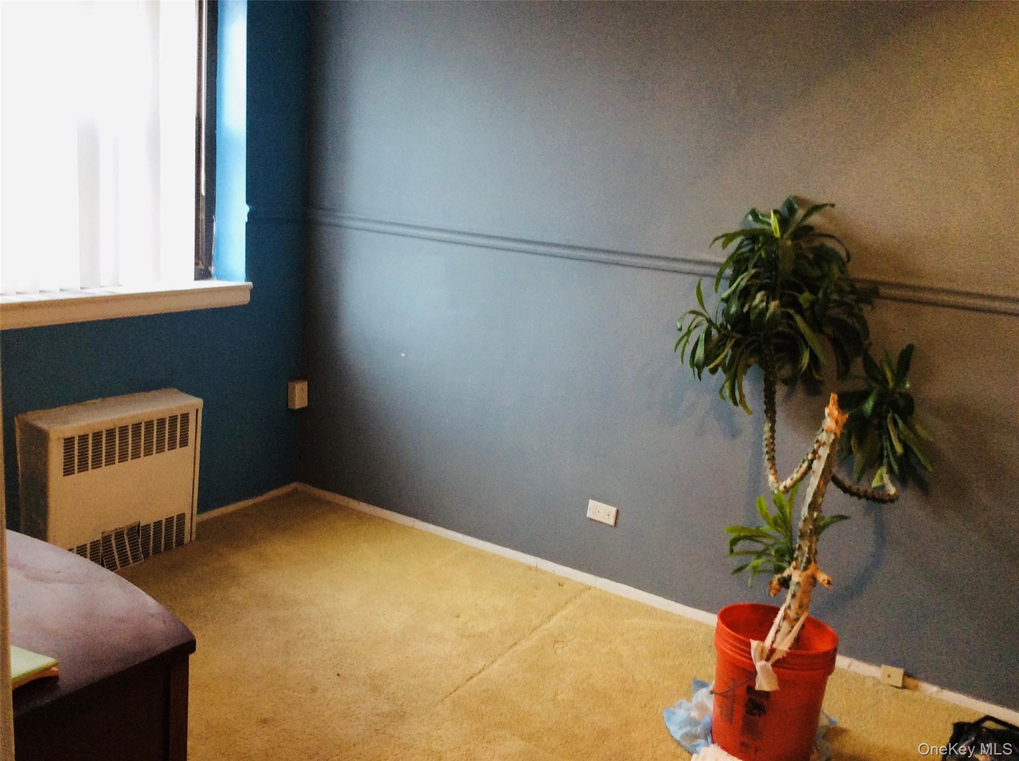 204-15 Foothill Avenue # A53, Hollis, NY 11423