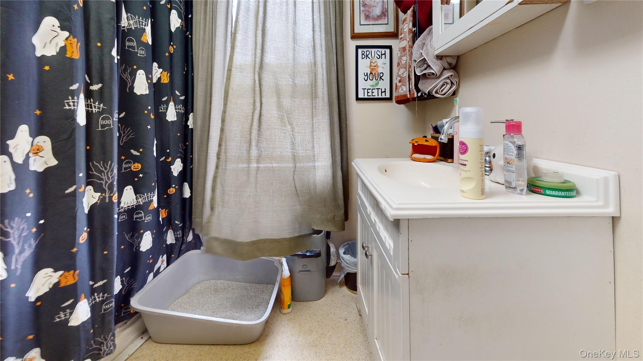 3 Center Street, Deposit, NY 13754