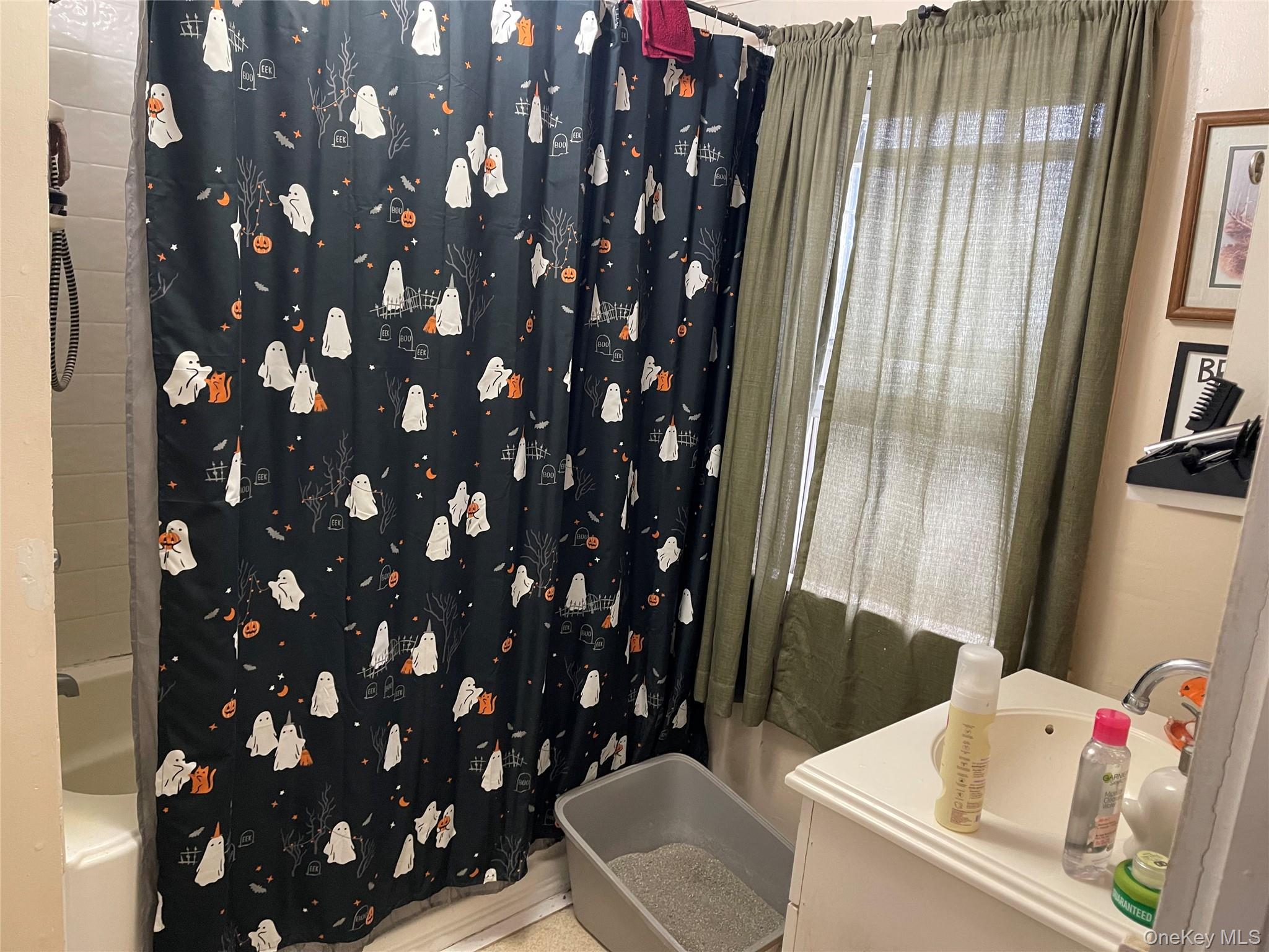 3 Center Street, Deposit, NY 13754