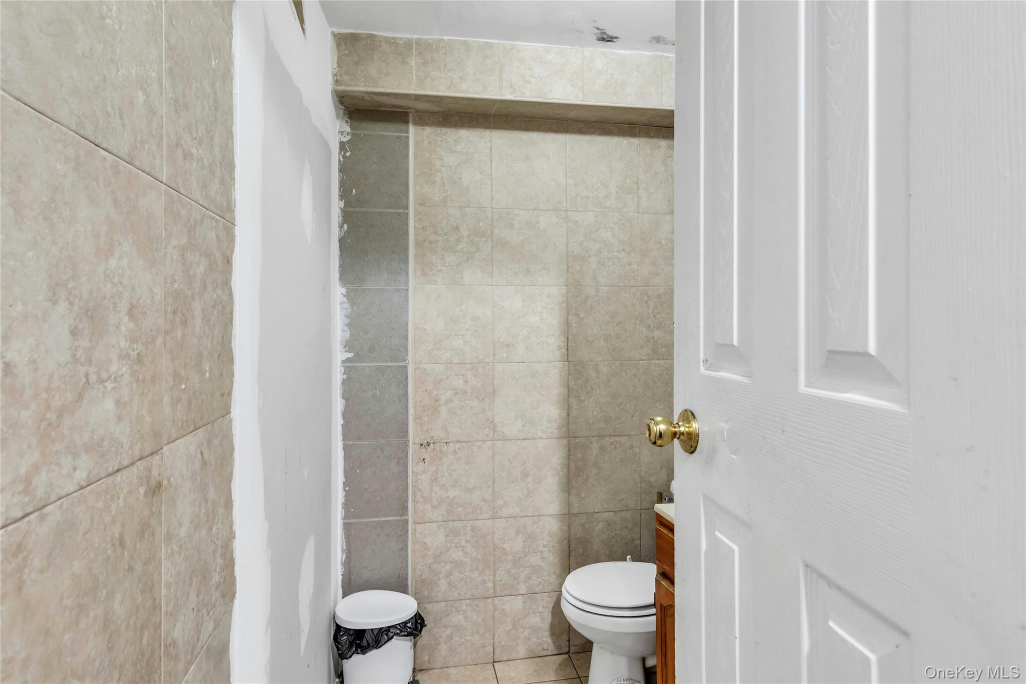 102-18 Radcliff Avenue, Corona, NY 11368