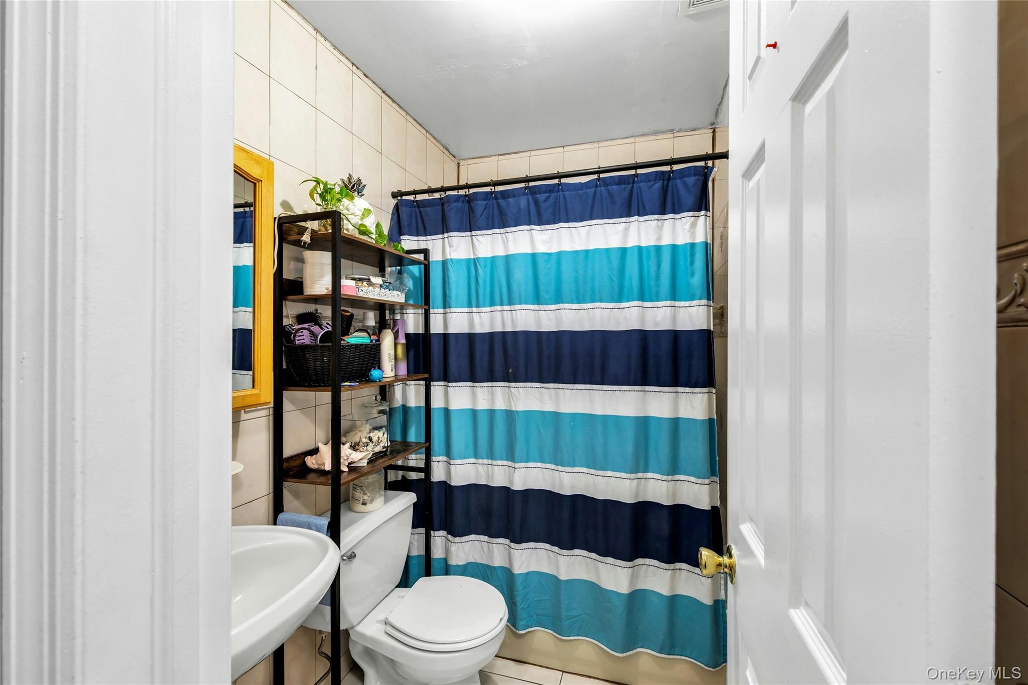 102-18 Radcliff Avenue, Corona, NY 11368