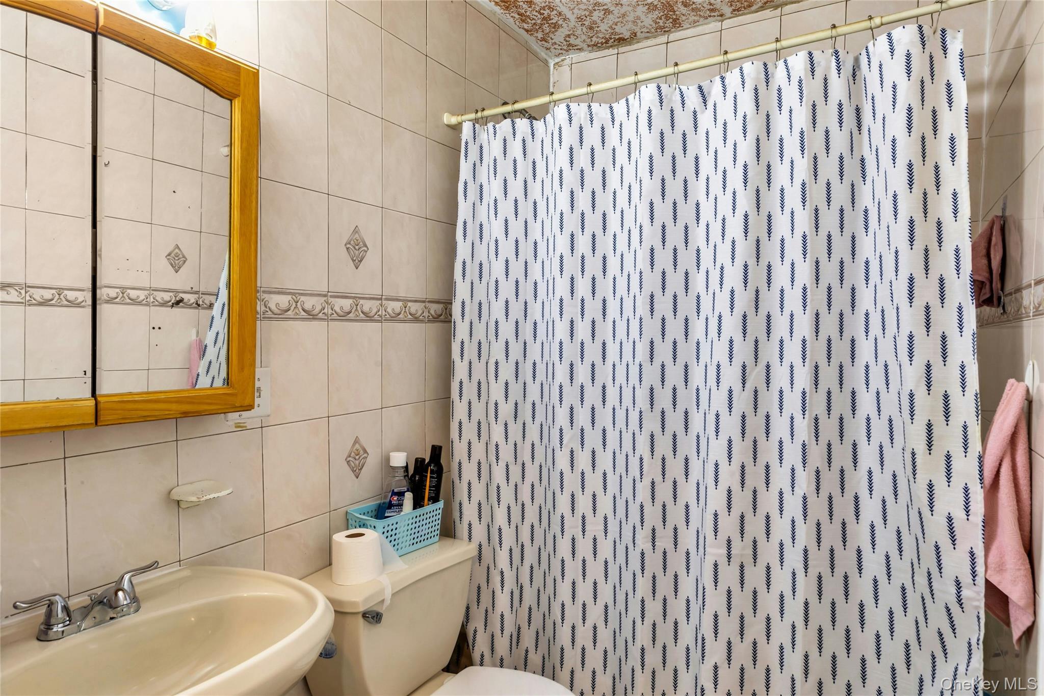 102-18 Radcliff Avenue, Corona, NY 11368