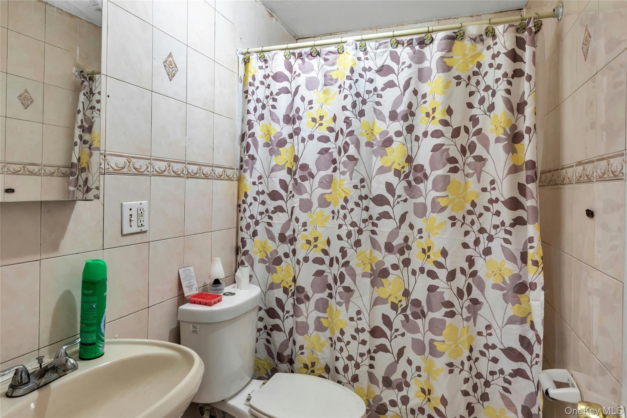 102-18 Radcliff Avenue, Corona, NY 11368