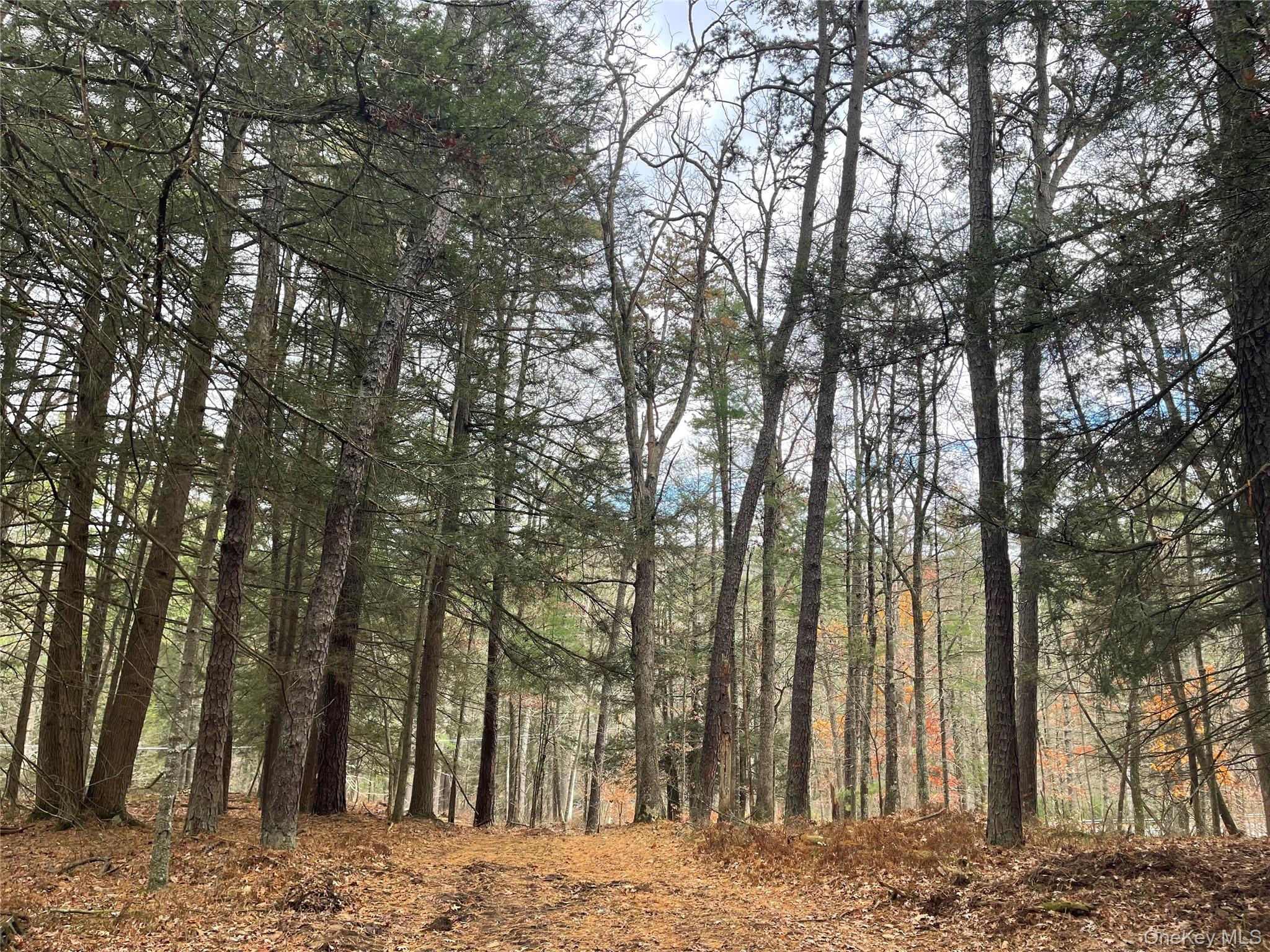 5769 State Route 97, Narrowsburg, NY 12764