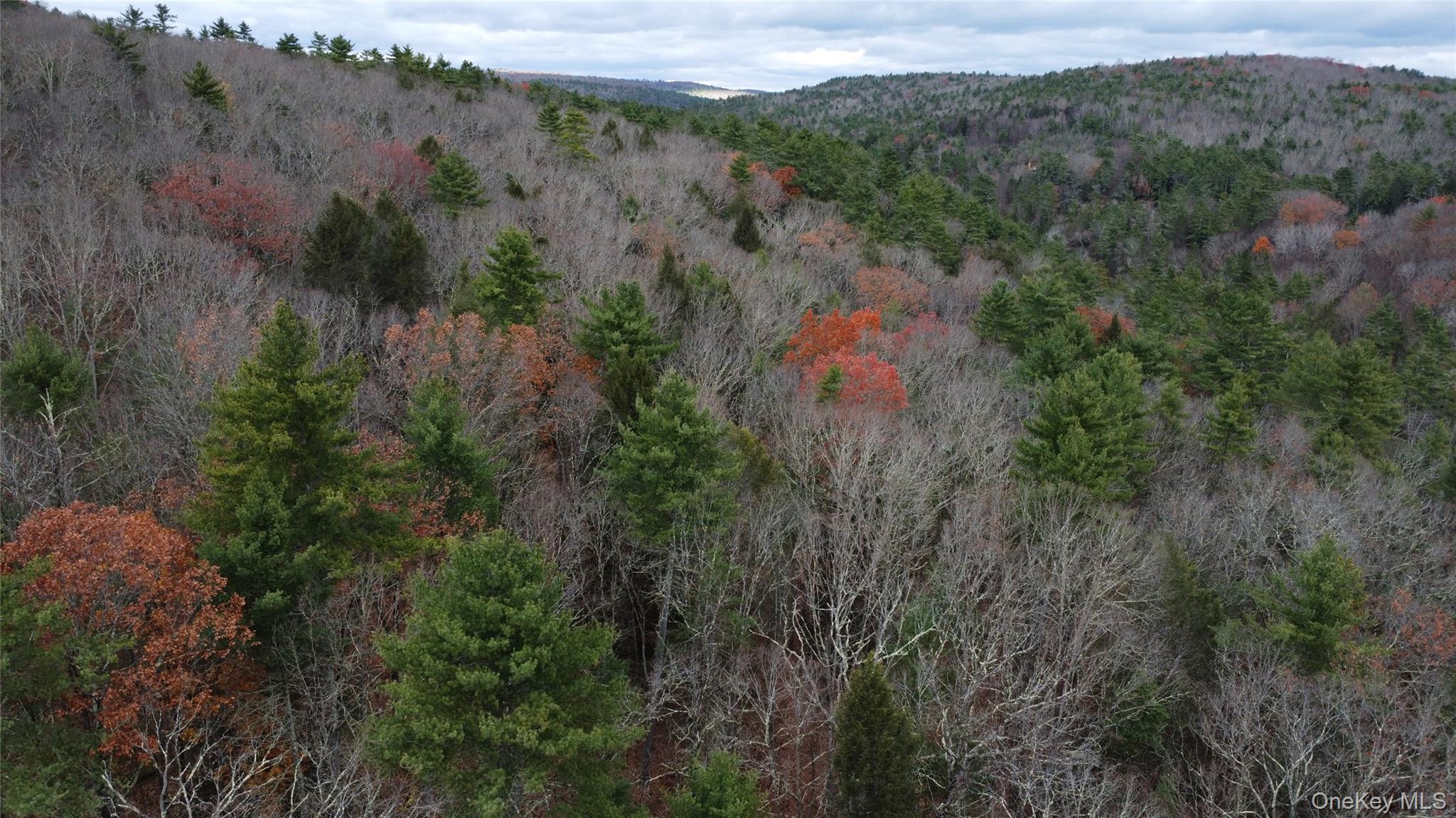 5769 State Route 97, Narrowsburg, NY 12764