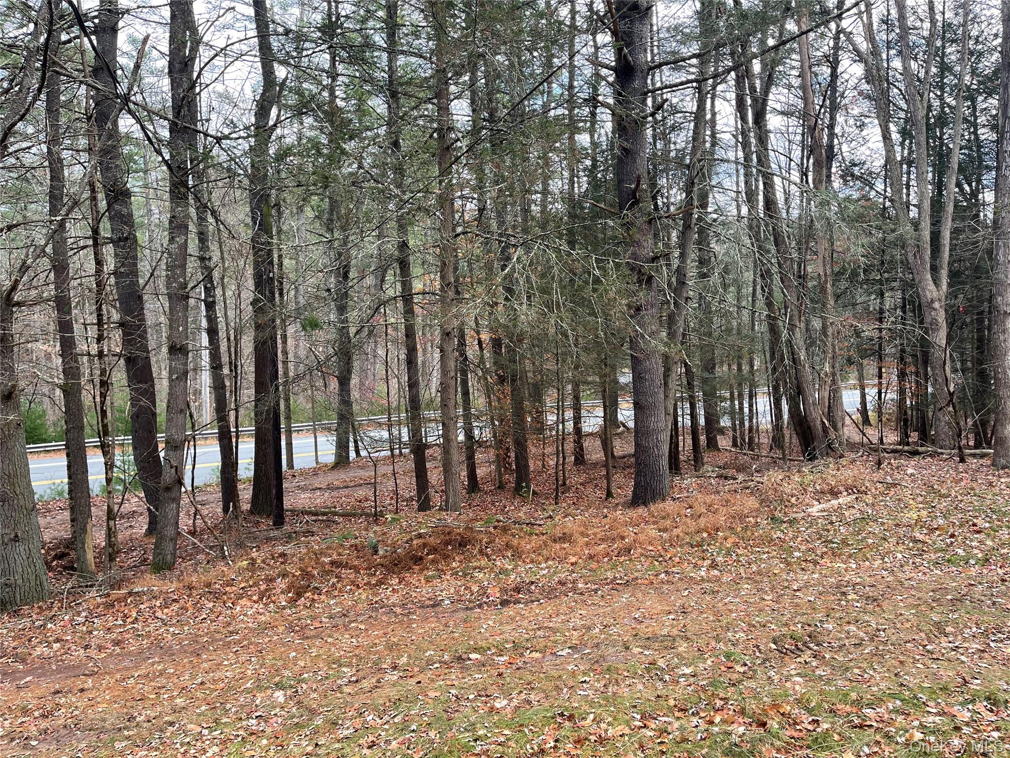 5769 State Route 97, Narrowsburg, NY 12764