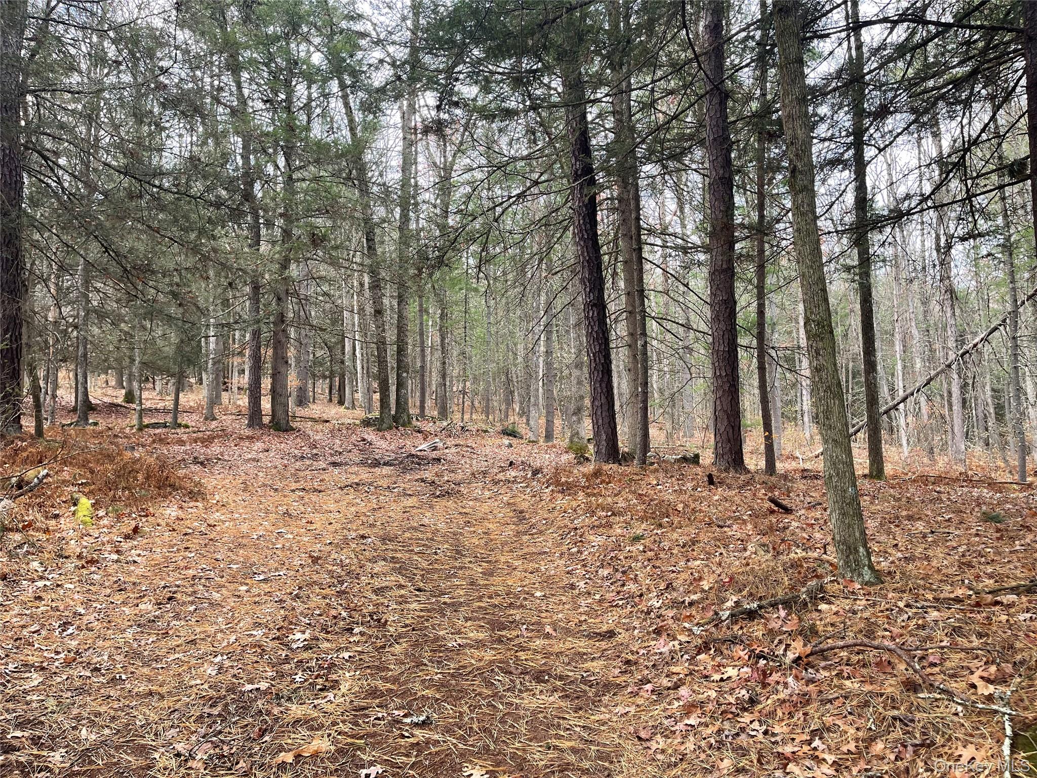 5769 State Route 97, Narrowsburg, NY 12764