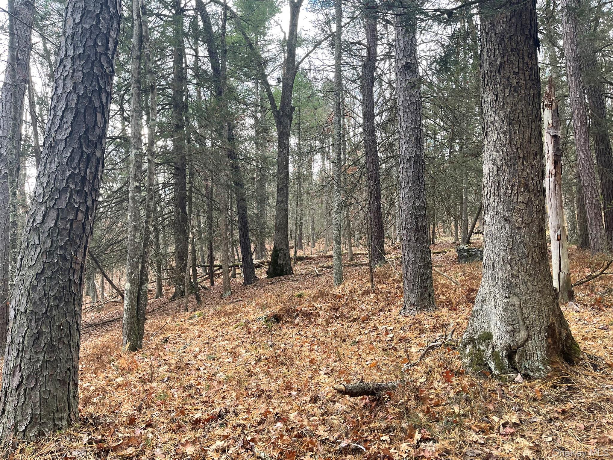 5769 State Route 97, Narrowsburg, NY 12764