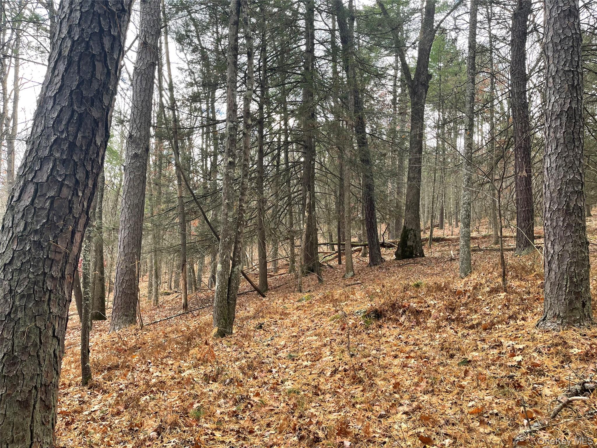 5769 State Route 97, Narrowsburg, NY 12764