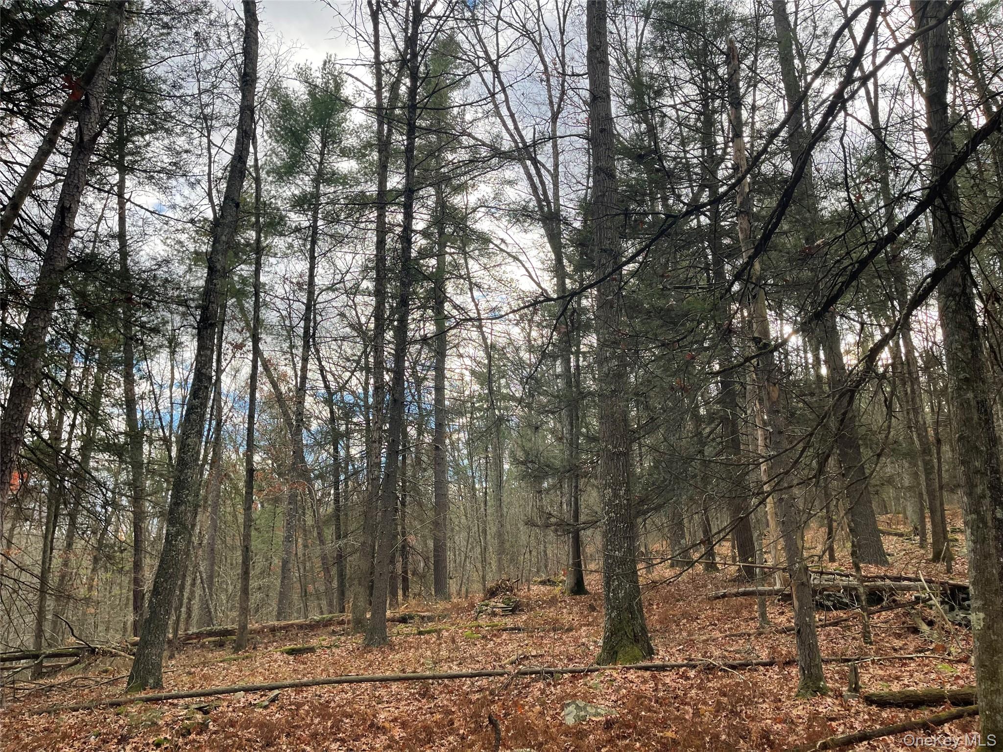 5769 State Route 97, Narrowsburg, NY 12764