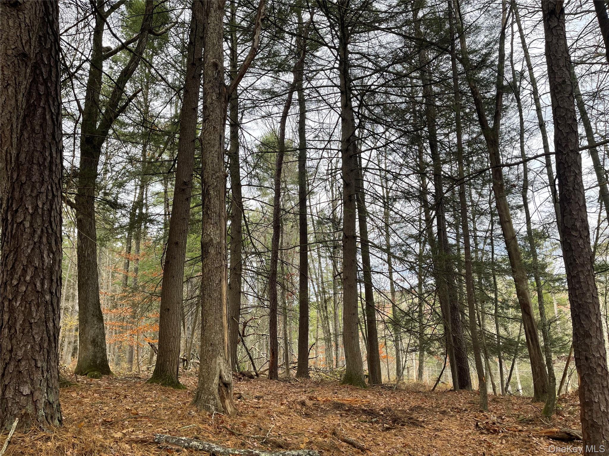 5769 State Route 97, Narrowsburg, NY 12764