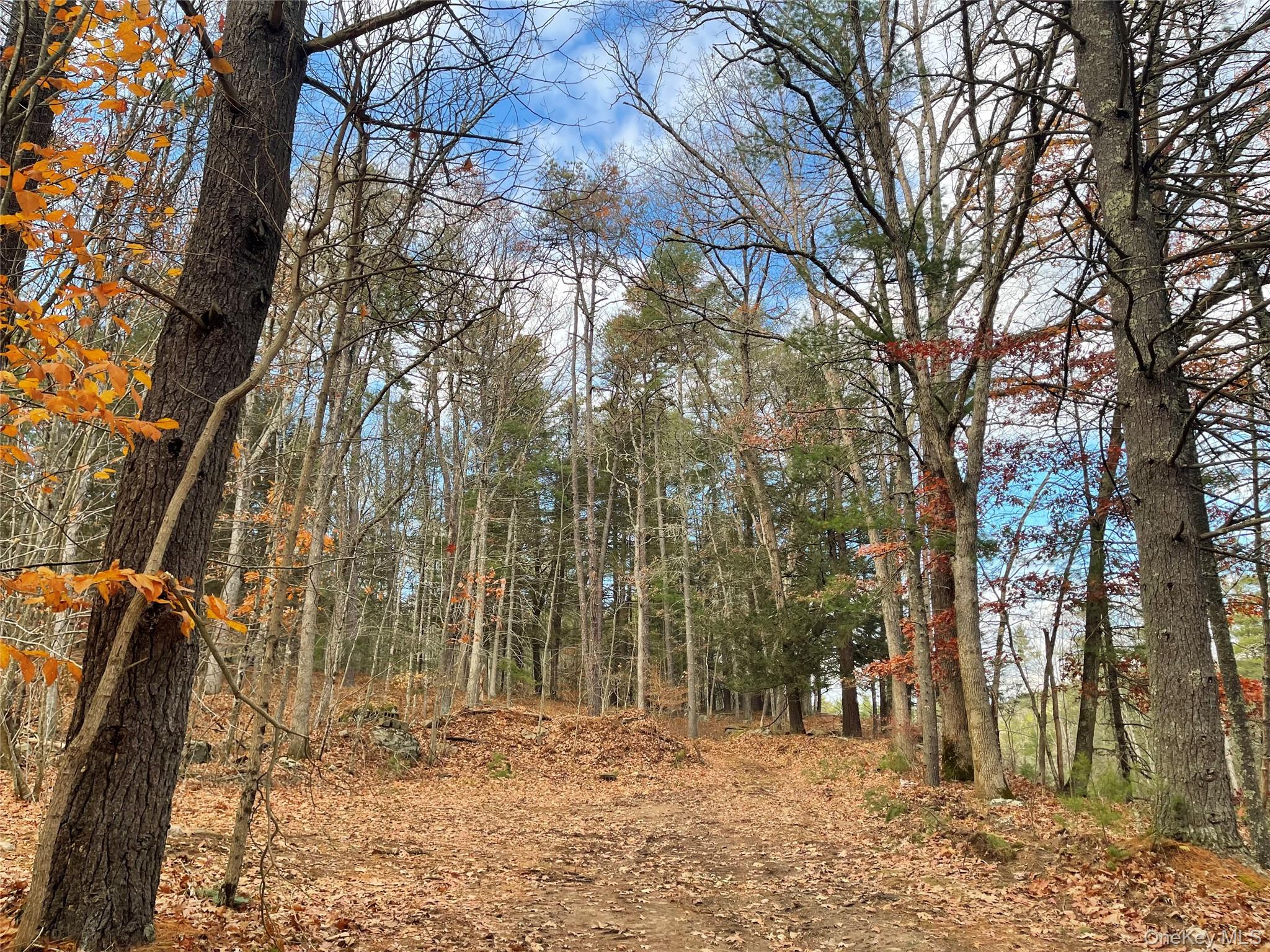 5769 State Route 97, Narrowsburg, NY 12764