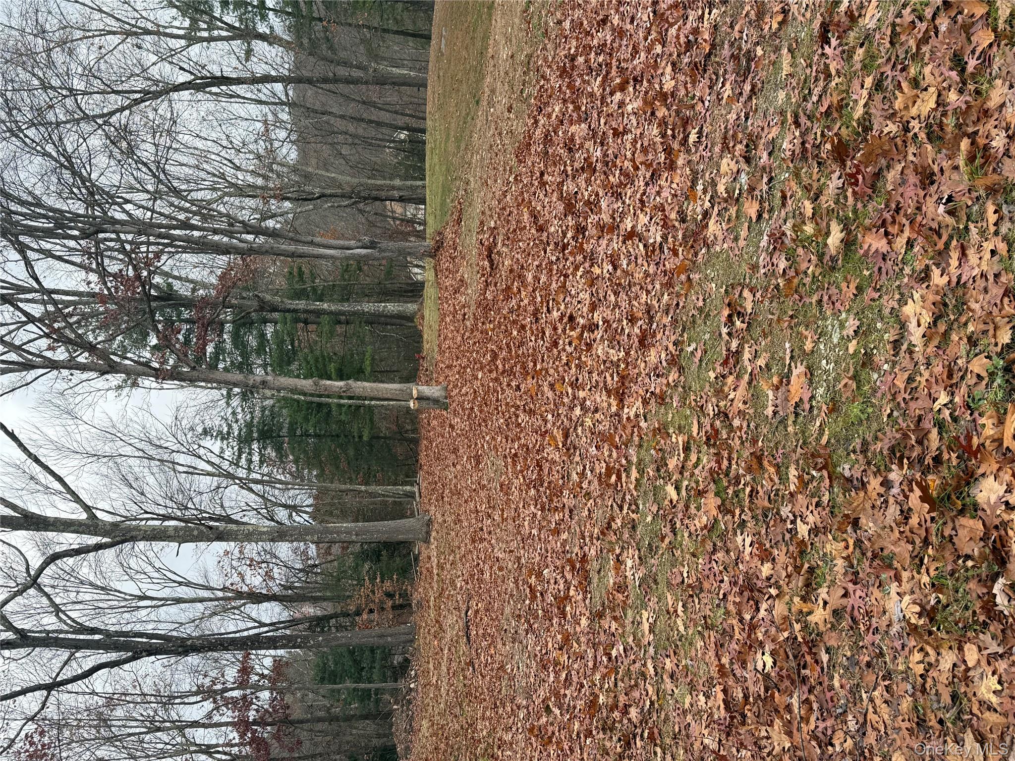 11 Square Woods Drive, Lagrangeville, NY 12540