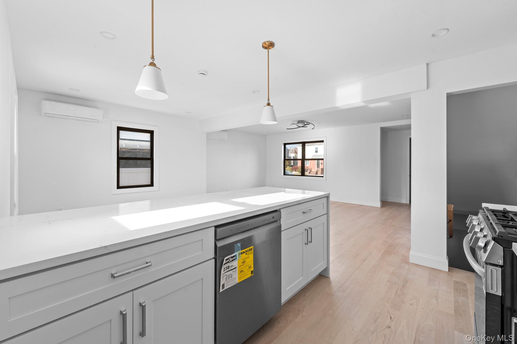 171 Fallon Avenue, Elmont, NY 11003