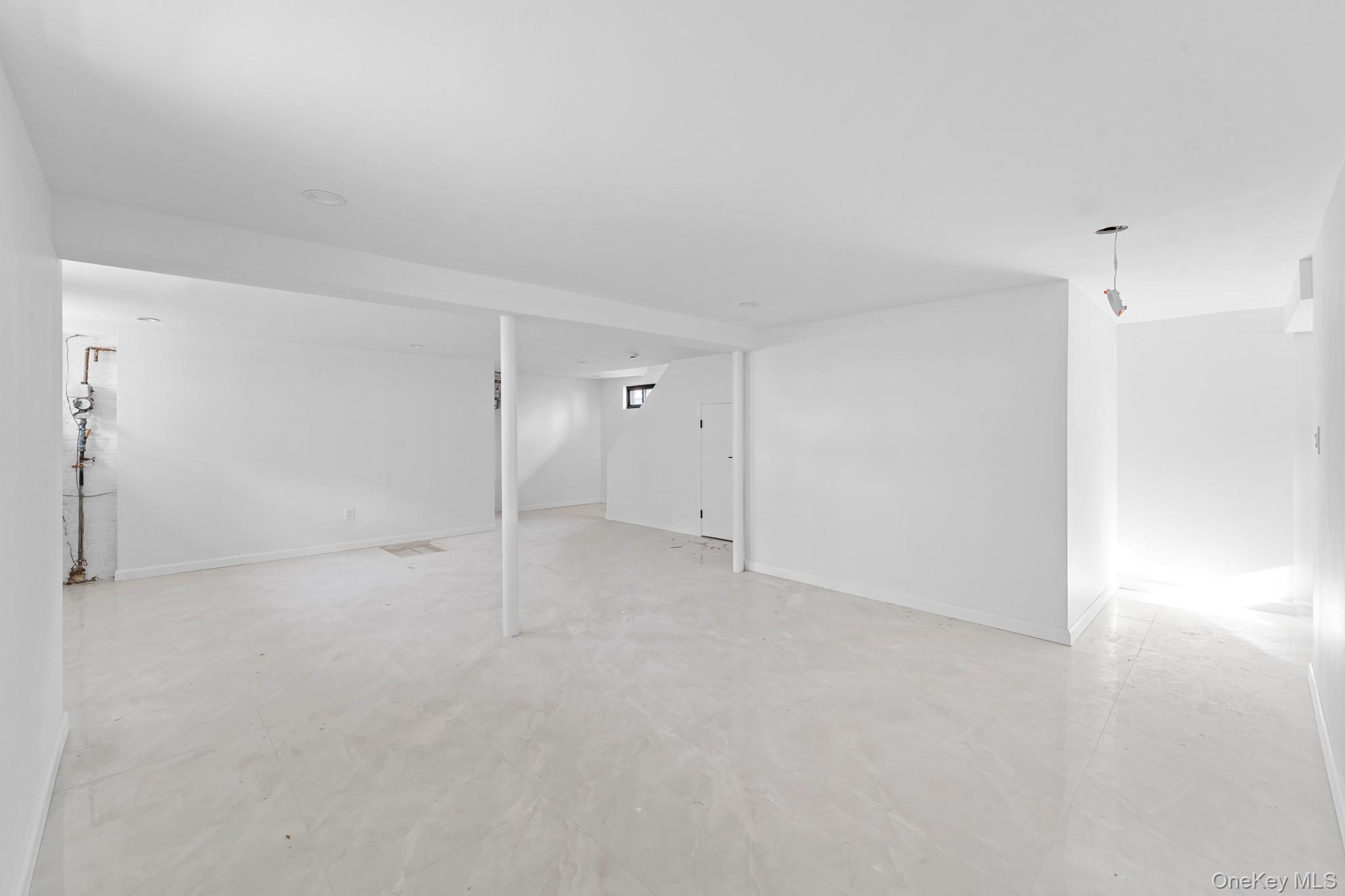 171 Fallon Avenue, Elmont, NY 11003