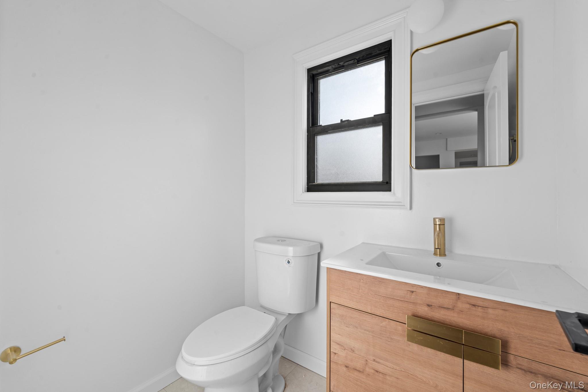 171 Fallon Avenue, Elmont, NY 11003