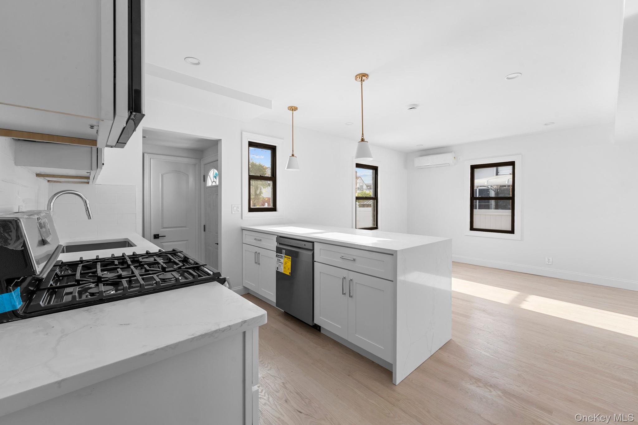 171 Fallon Avenue, Elmont, NY 11003