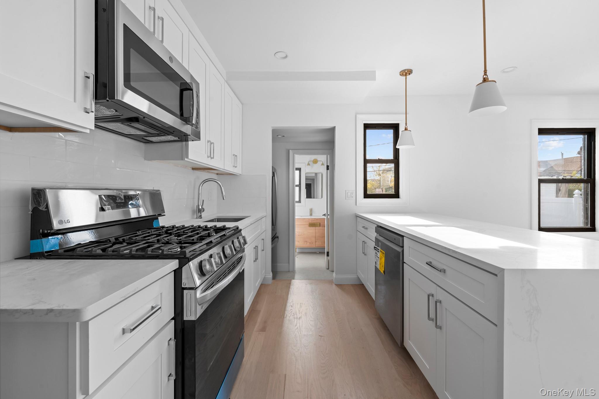 171 Fallon Avenue, Elmont, NY 11003