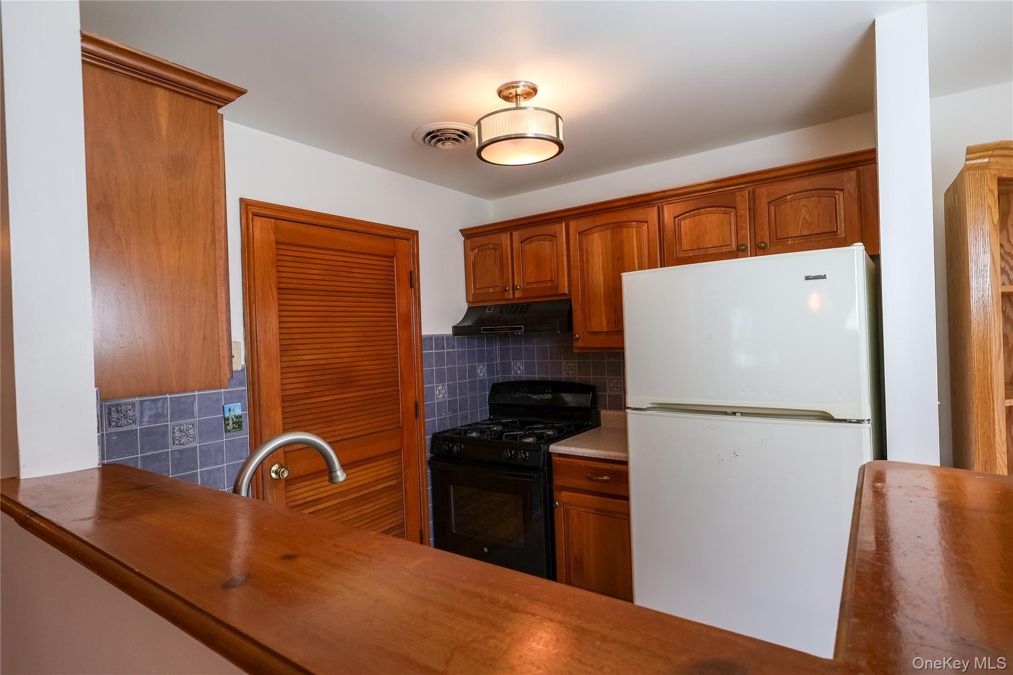 1306 Rosewood Court, Highland Mills, NY 10930