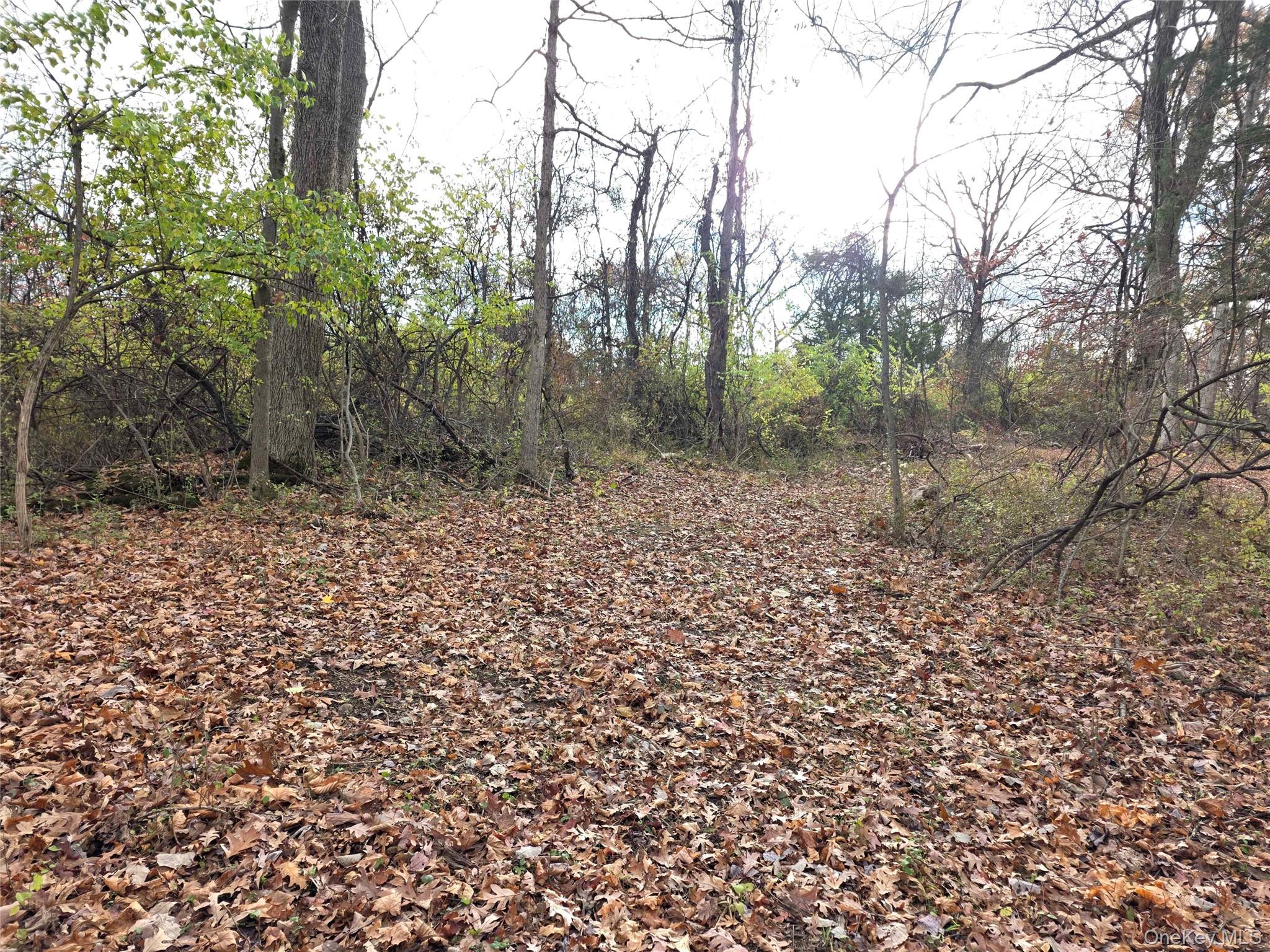 Athboy Road, Marlboro, NY 12542