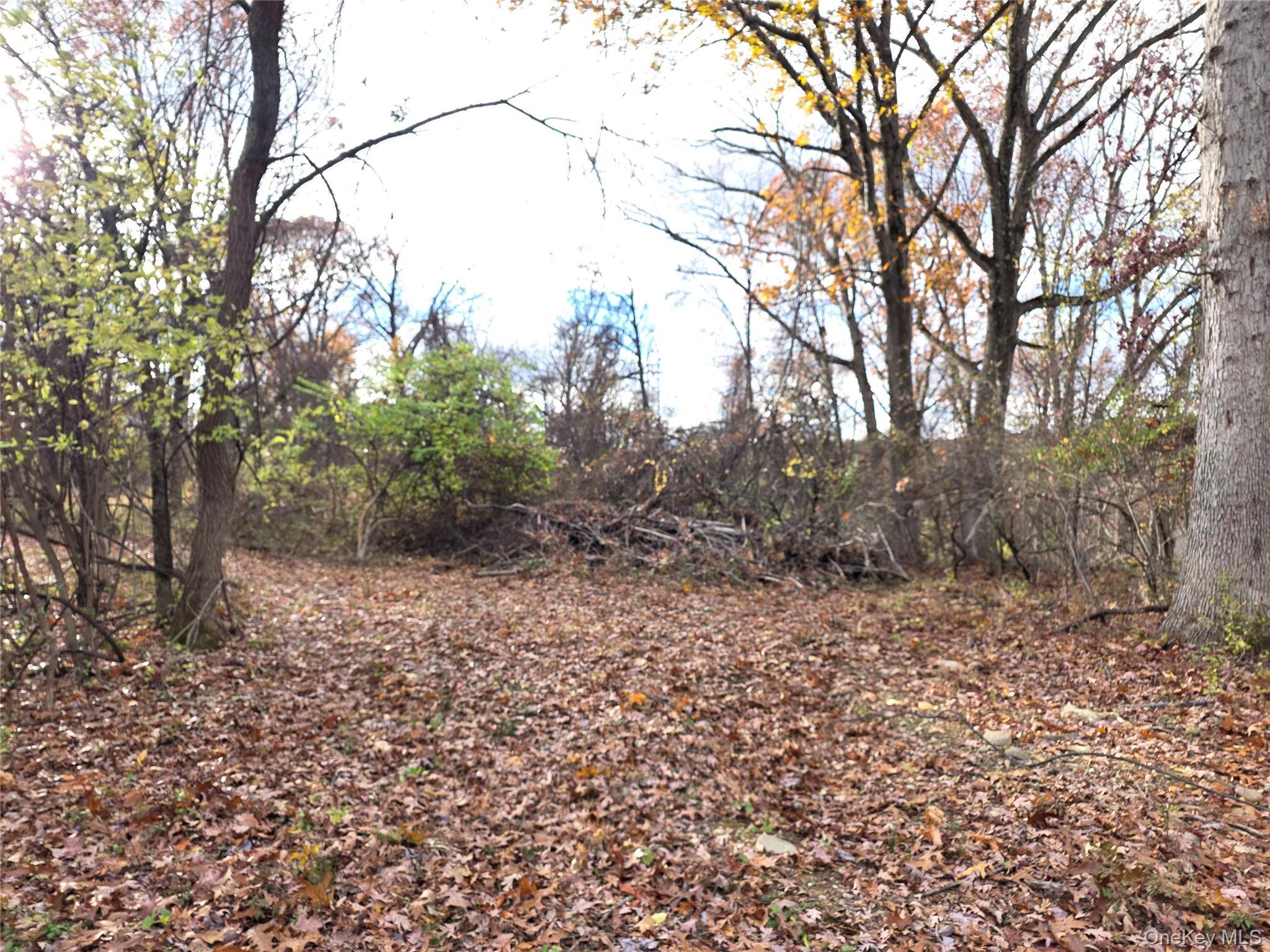 Athboy Road, Marlboro, NY 12542