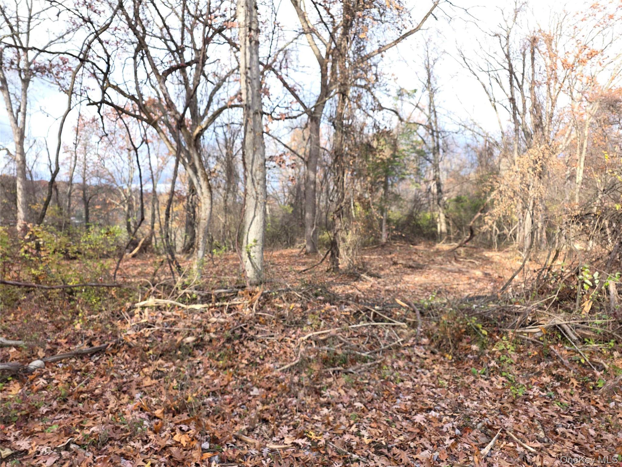 Athboy Road, Marlboro, NY 12542