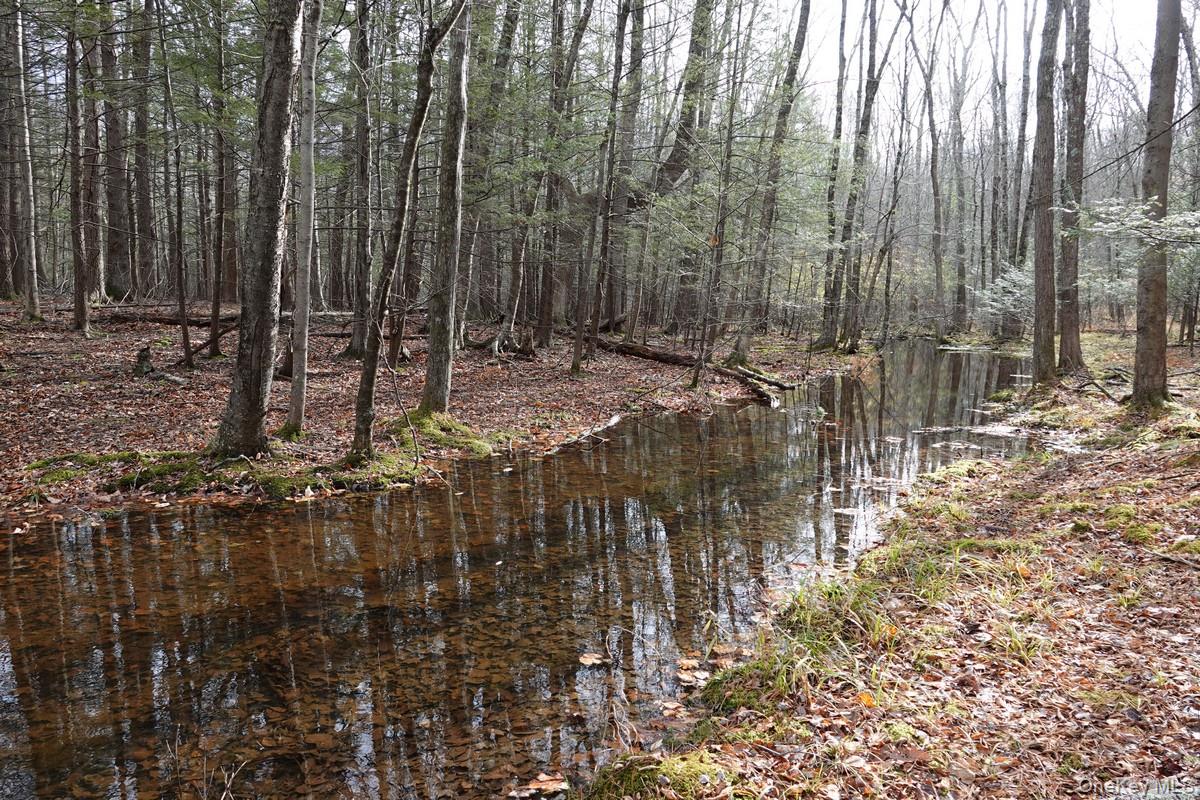 738 Manorville Road, Saugerties, NY 12477