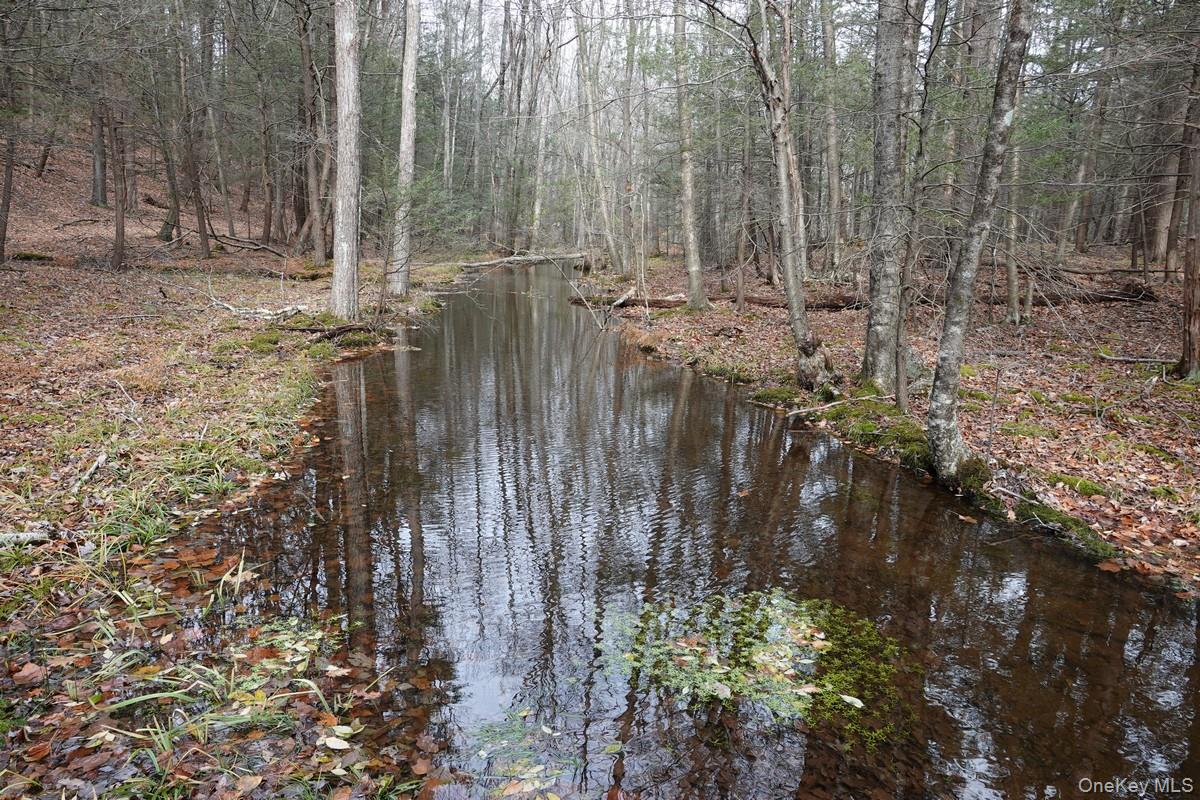 738 Manorville Road, Saugerties, NY 12477