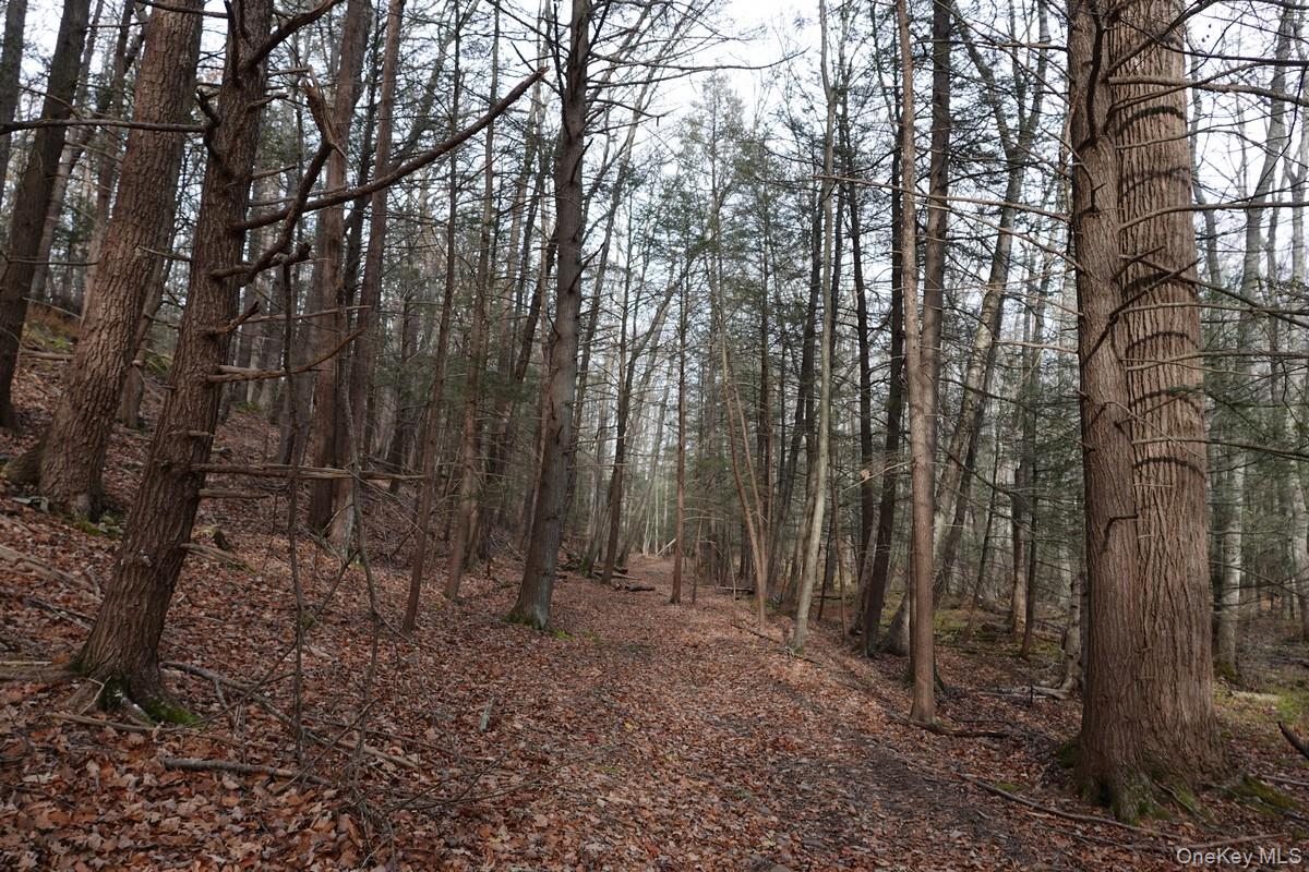 738 Manorville Road, Saugerties, NY 12477