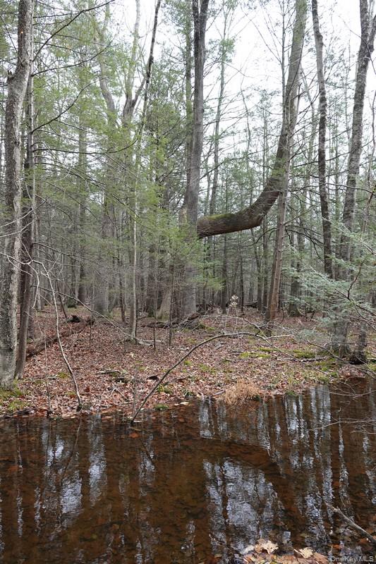 738 Manorville Road, Saugerties, NY 12477