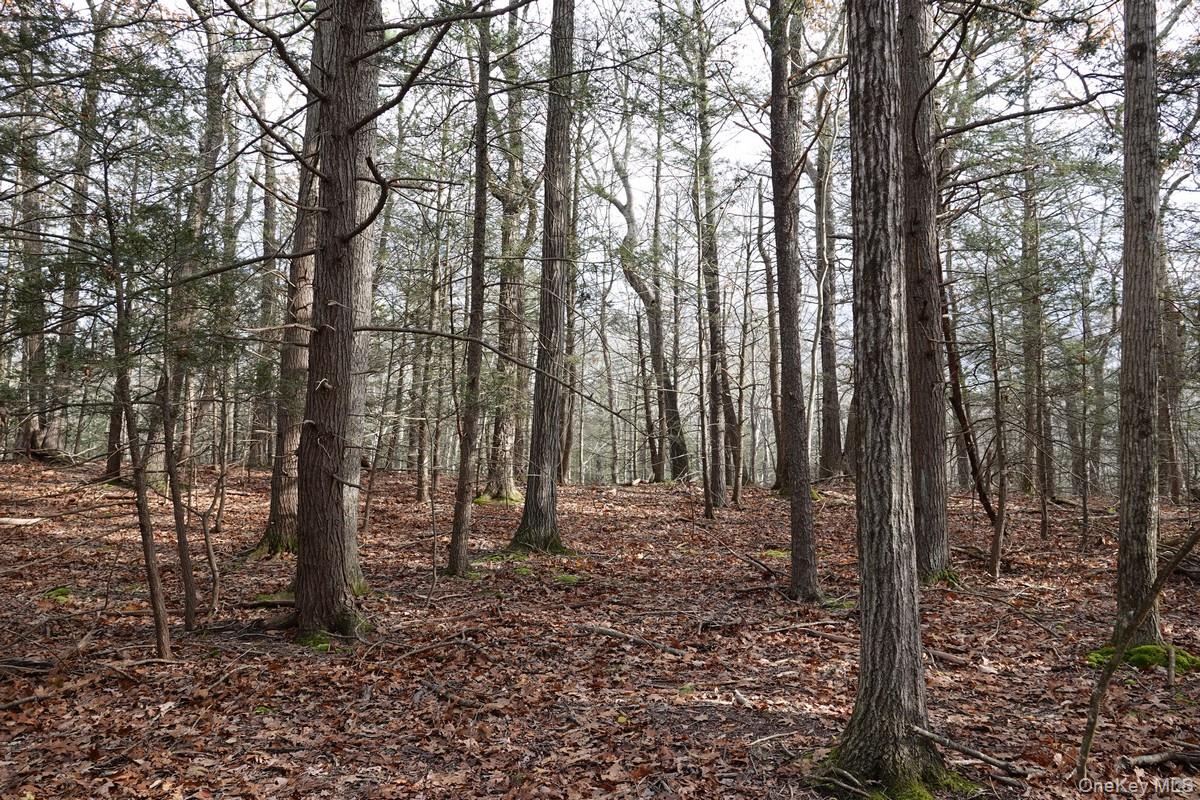 738 Manorville Road, Saugerties, NY 12477