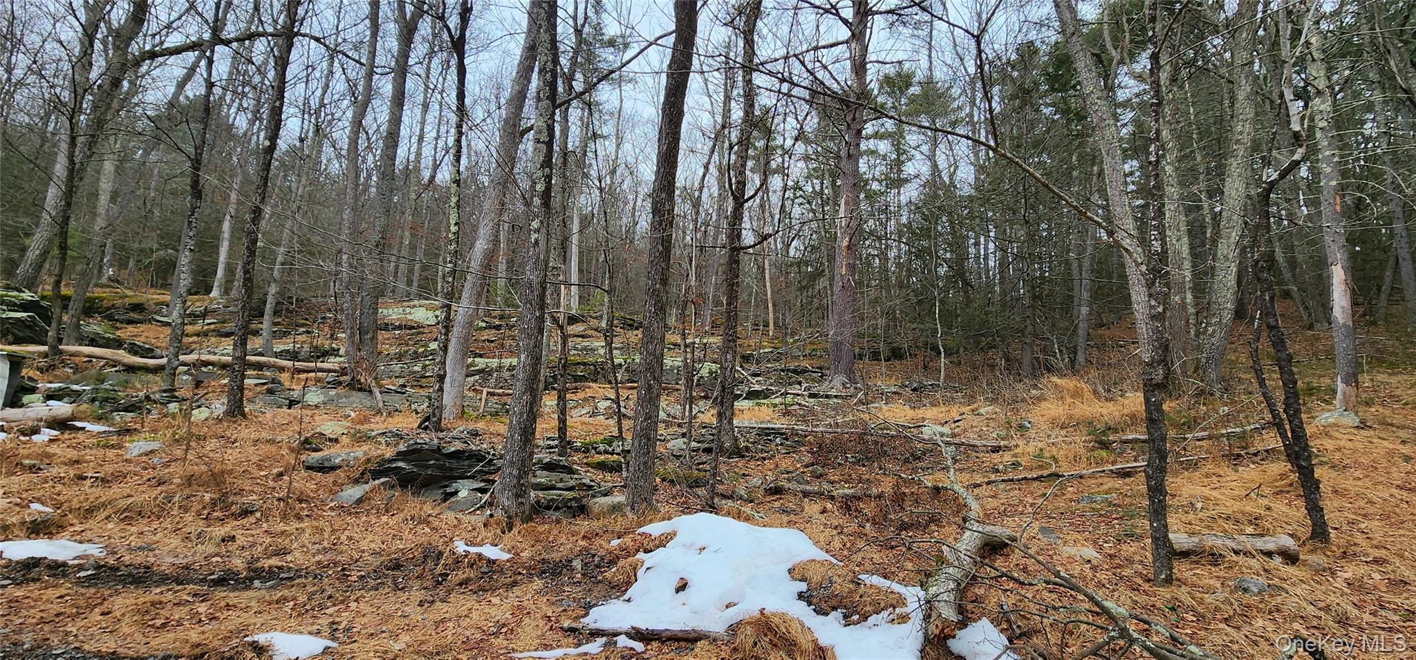 Deer Hill Road, Wurtsboro, NY 12790