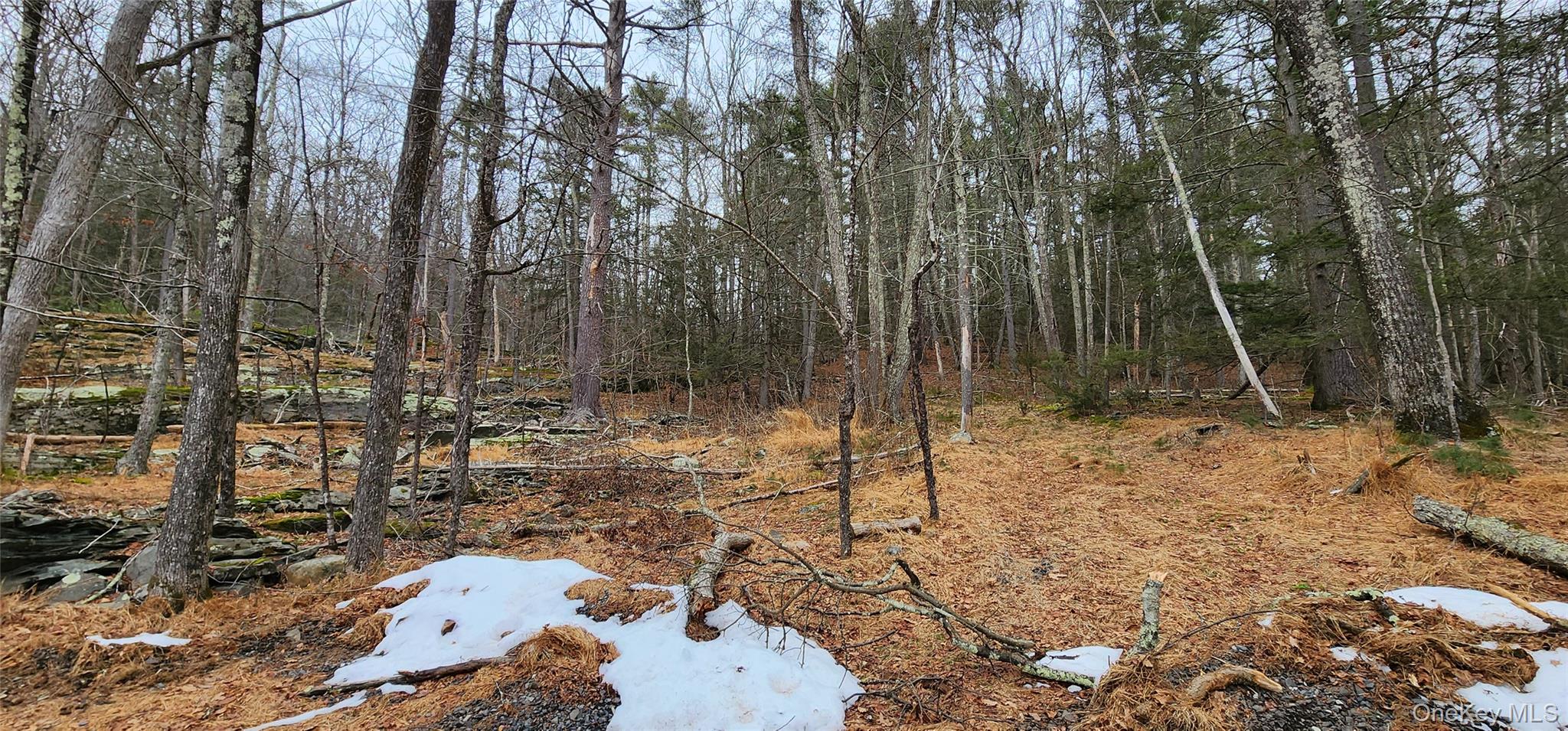 Deer Hill Road, Wurtsboro, NY 12790