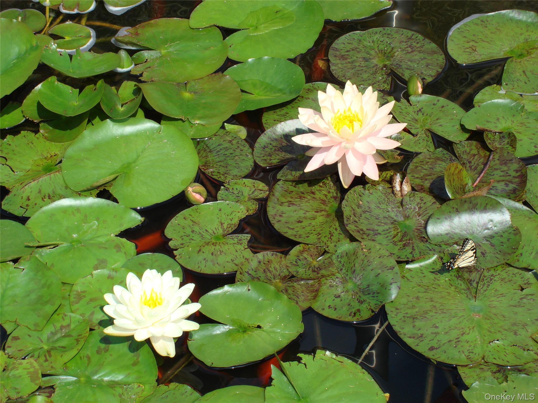 115 Meyer Oval, Pearl River, NY 10965