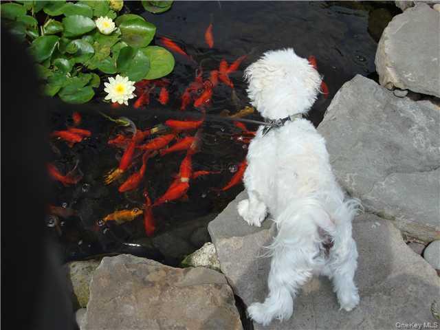 115 Meyer Oval, Pearl River, NY 10965